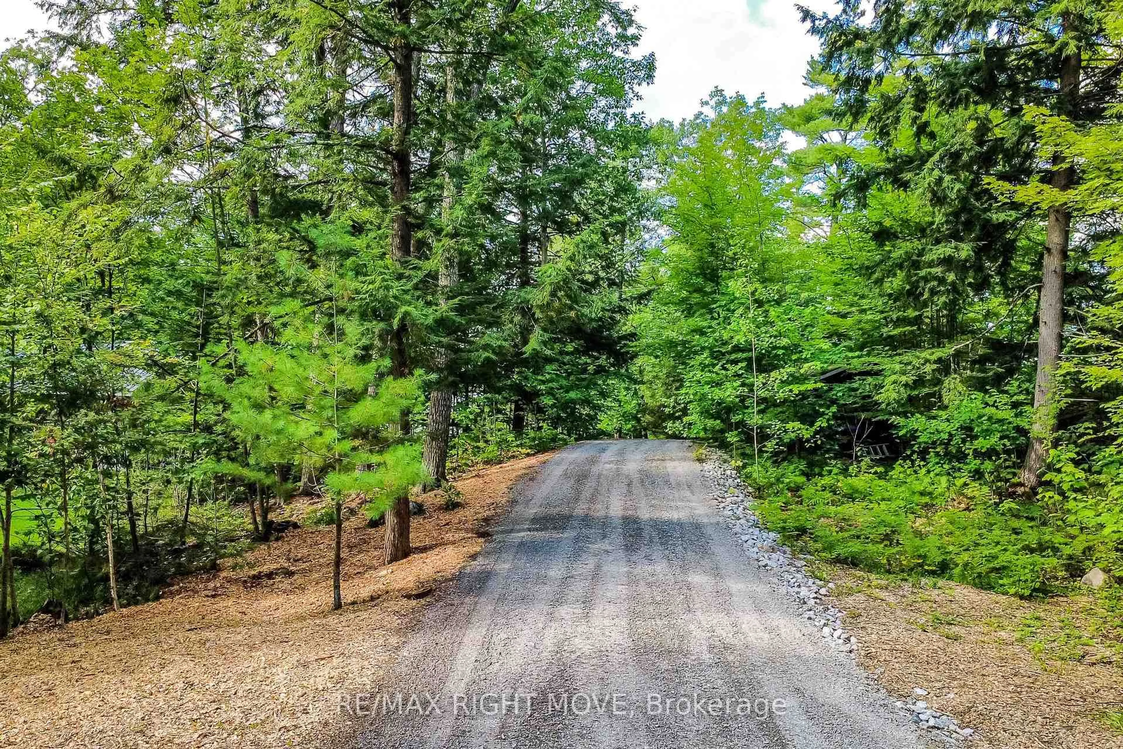 A pic from outside/outdoor area/front of a property/back of a property/a pic from drone, forest/trees view for 1643 Baldy Lane, Severn Ontario P0E 1N0