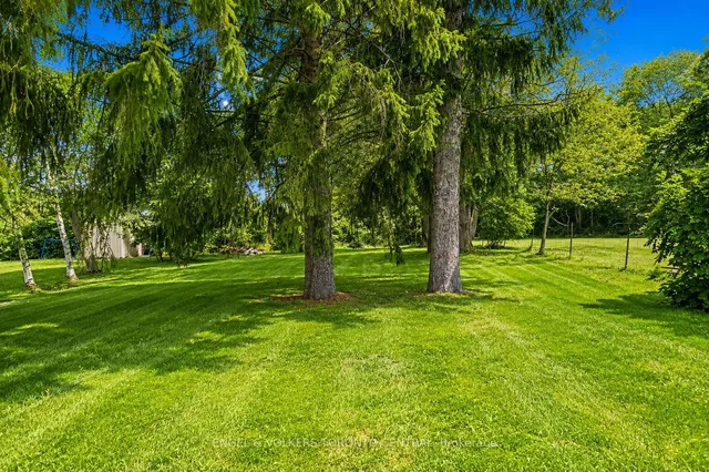 204 Cox Mill Rd, Barrie 3