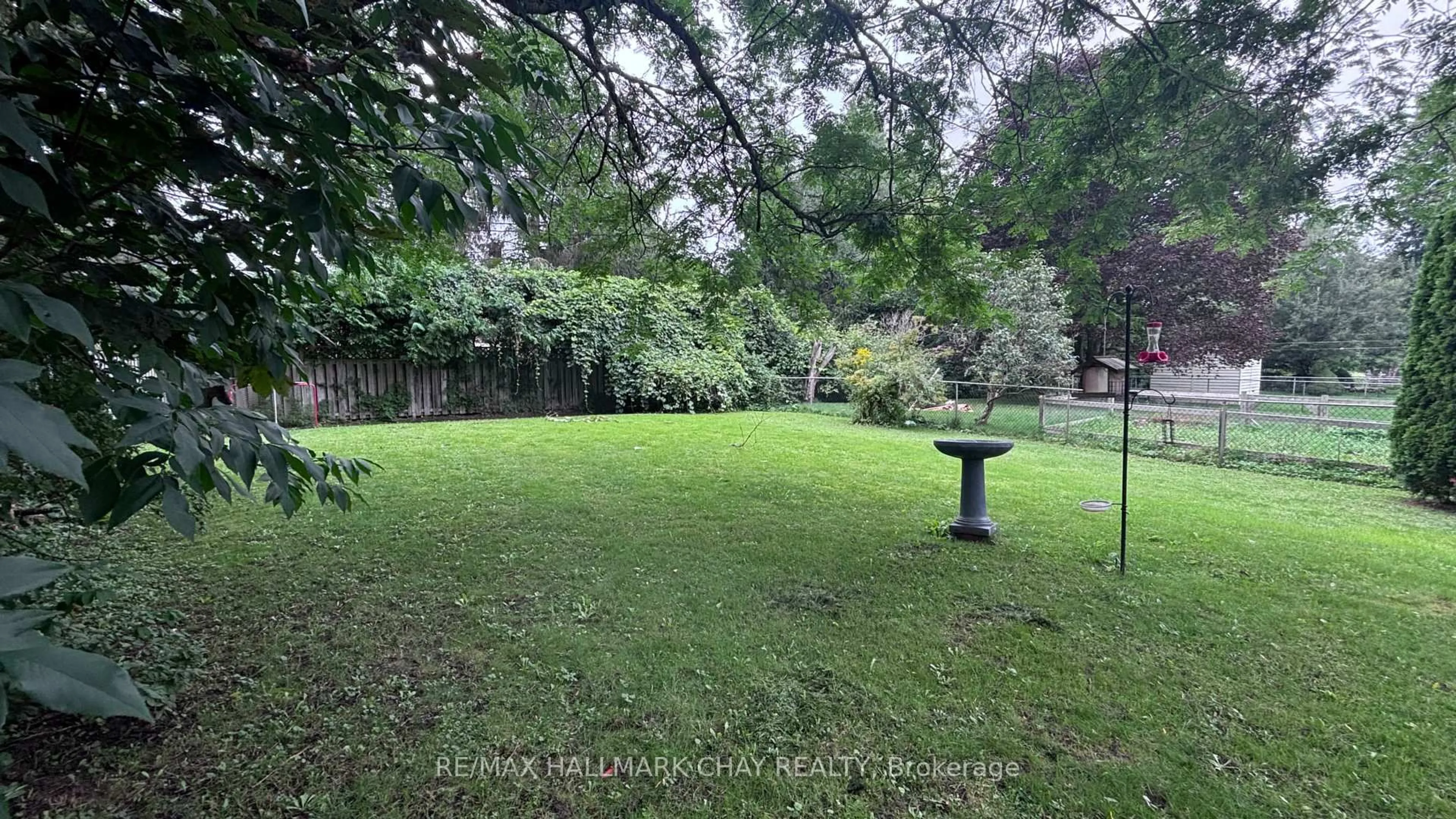 A pic from outside/outdoor area/front of a property/back of a property/a pic from drone, forest/trees view for 98 Elizabeth St, Barrie Ontario L4N 6P3