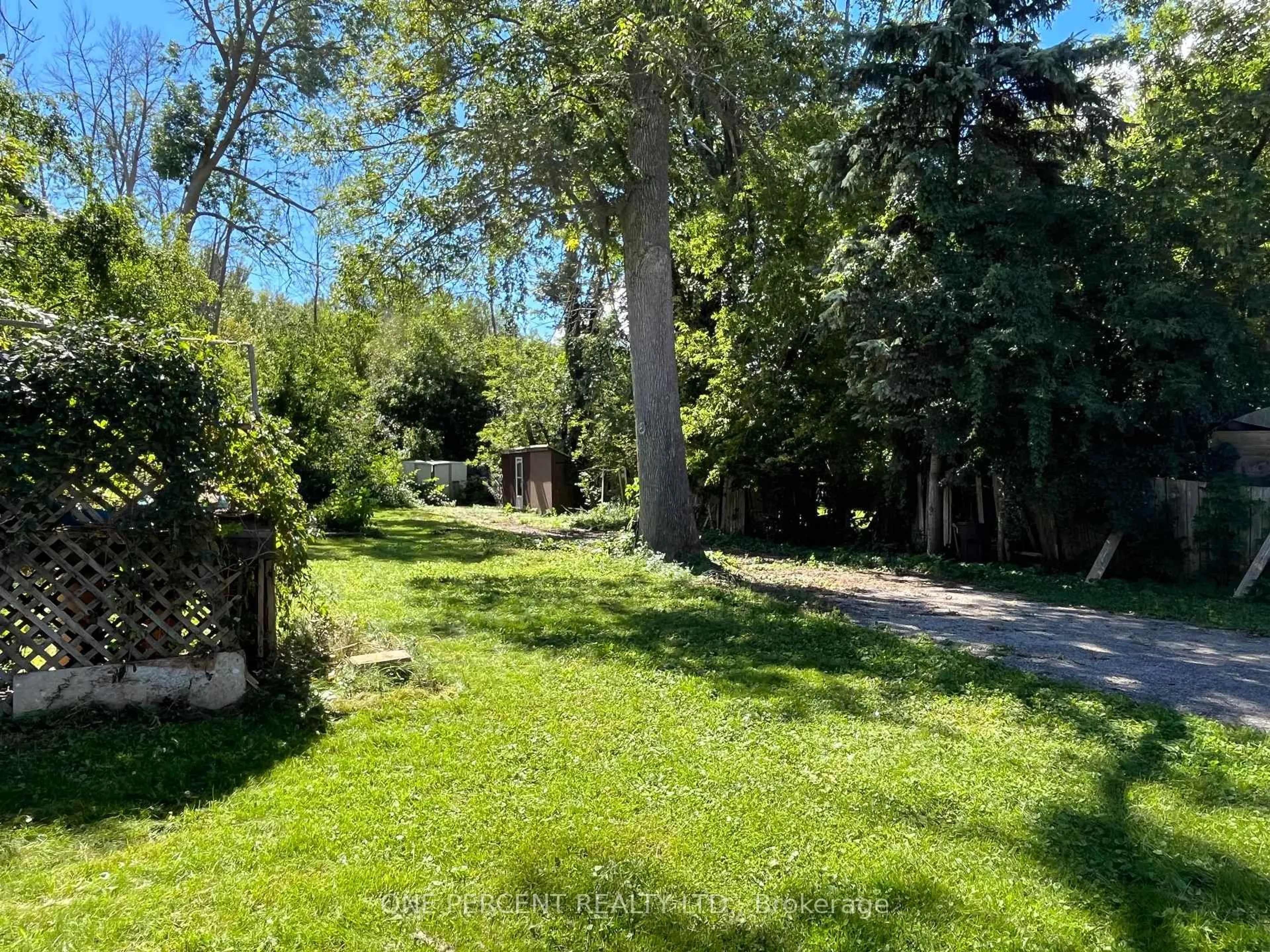 A pic from outside/outdoor area/front of a property/back of a property/a pic from drone, forest/trees view for 177 Atherley Rd, Orillia Ontario L3V 8A9