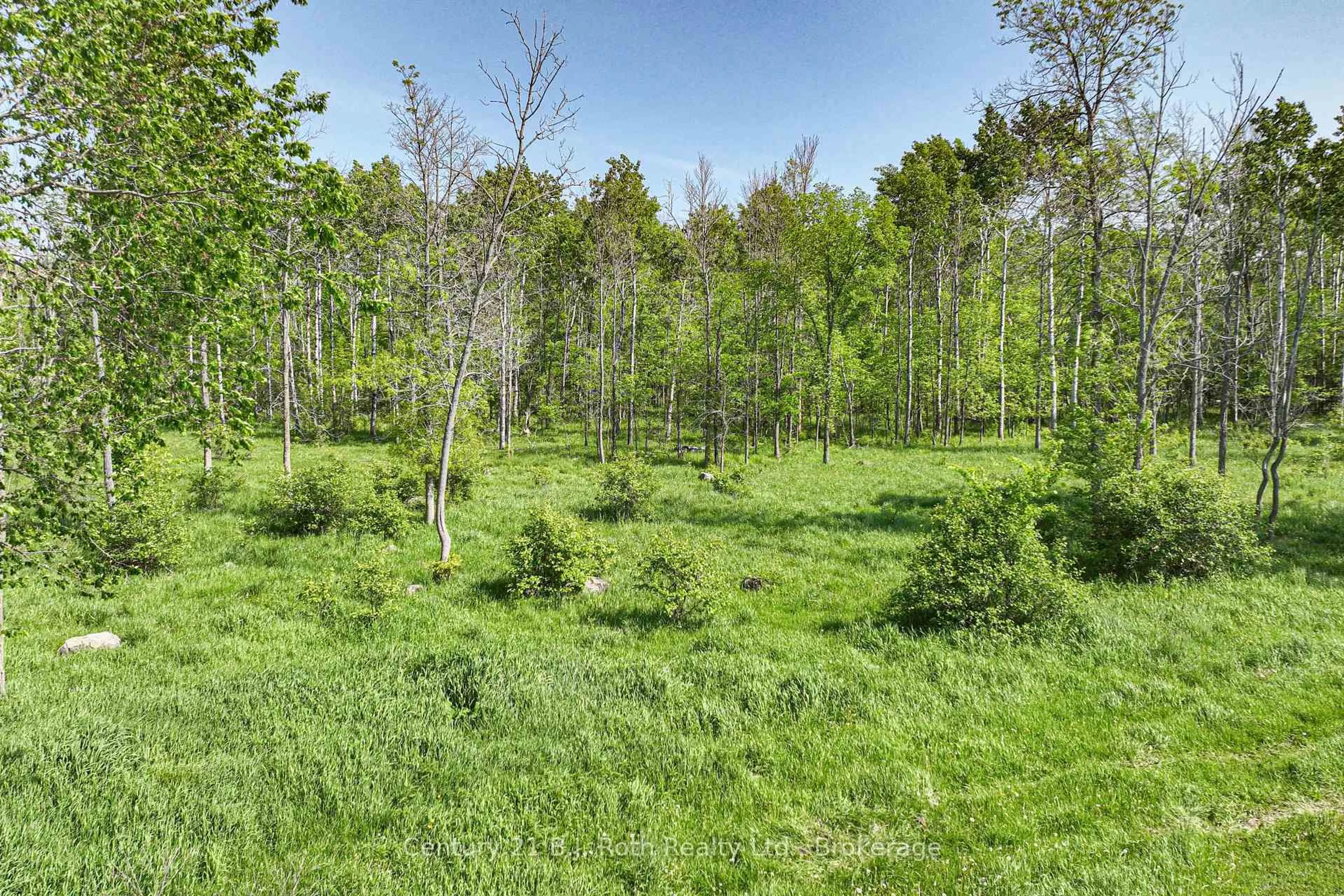 A pic from outside/outdoor area/front of a property/back of a property/a pic from drone, forest/trees view for 1579 Wainman Line, Severn Ontario L0K 1E0