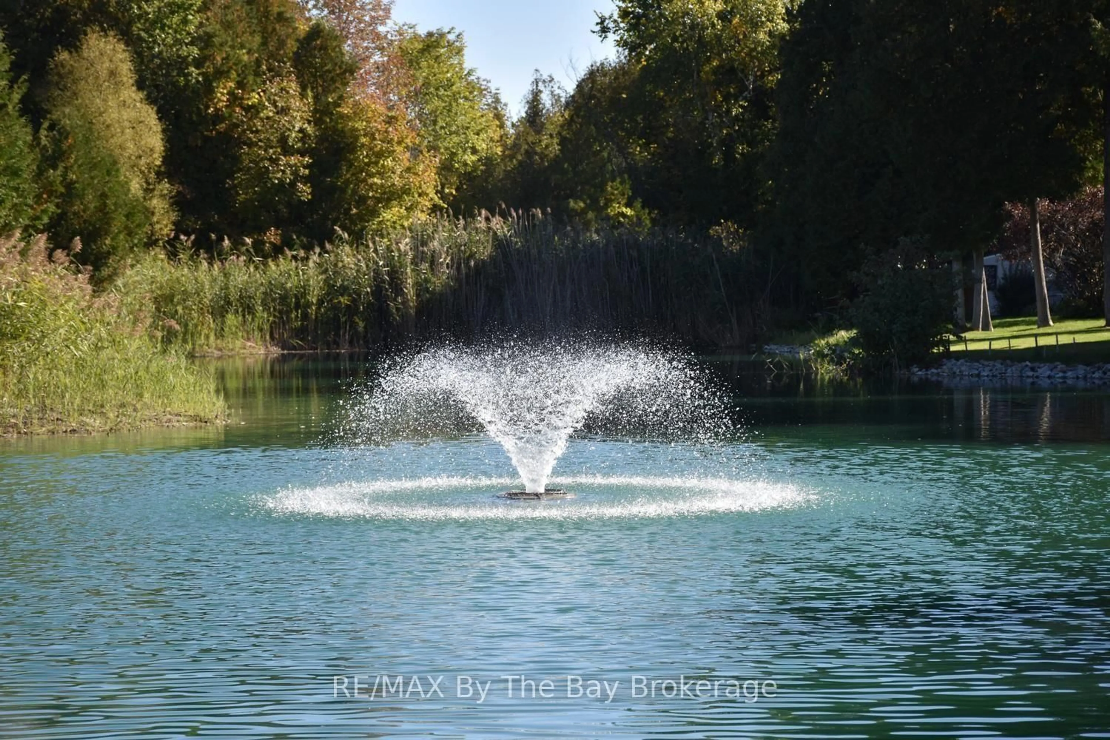 trreb/IMG-S13812694_1c83302b-3136-41cd-ae99-1fd13040b692-l.jpg