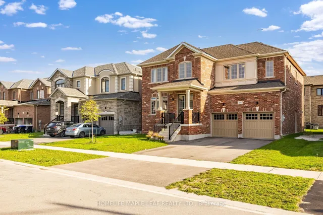 244 Warden St, Clearview 3