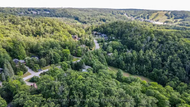 46 Pine Ridge Tr, Oro-Medonte 5
