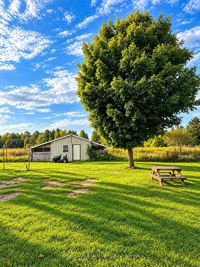 5536 Line 5 Rd, Oro-Medonte 4