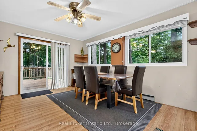 16 Fredrick Ave, Tiny 3