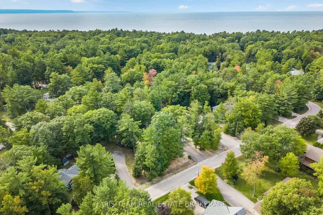 15 Rosemary Rd, Tiny 5