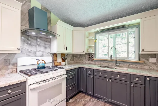 103 Silver Birch Dr, Tiny 3