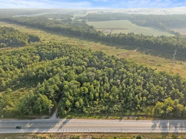 3992 Penetanguishene Rd, Springwater 2