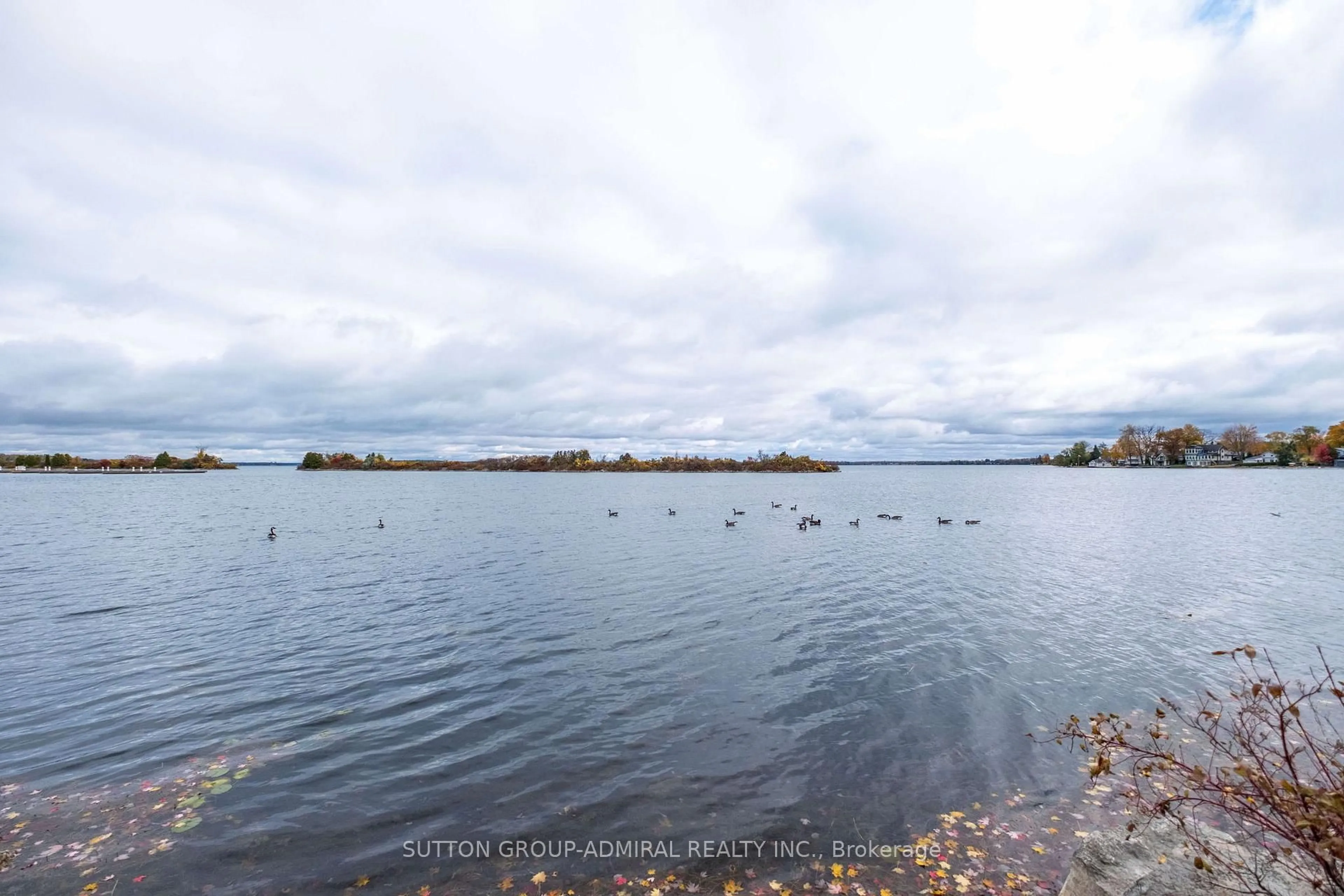 trreb/IMG-S13884872_657fe567-1430-4e13-9325-f631425201cf-l.jpg