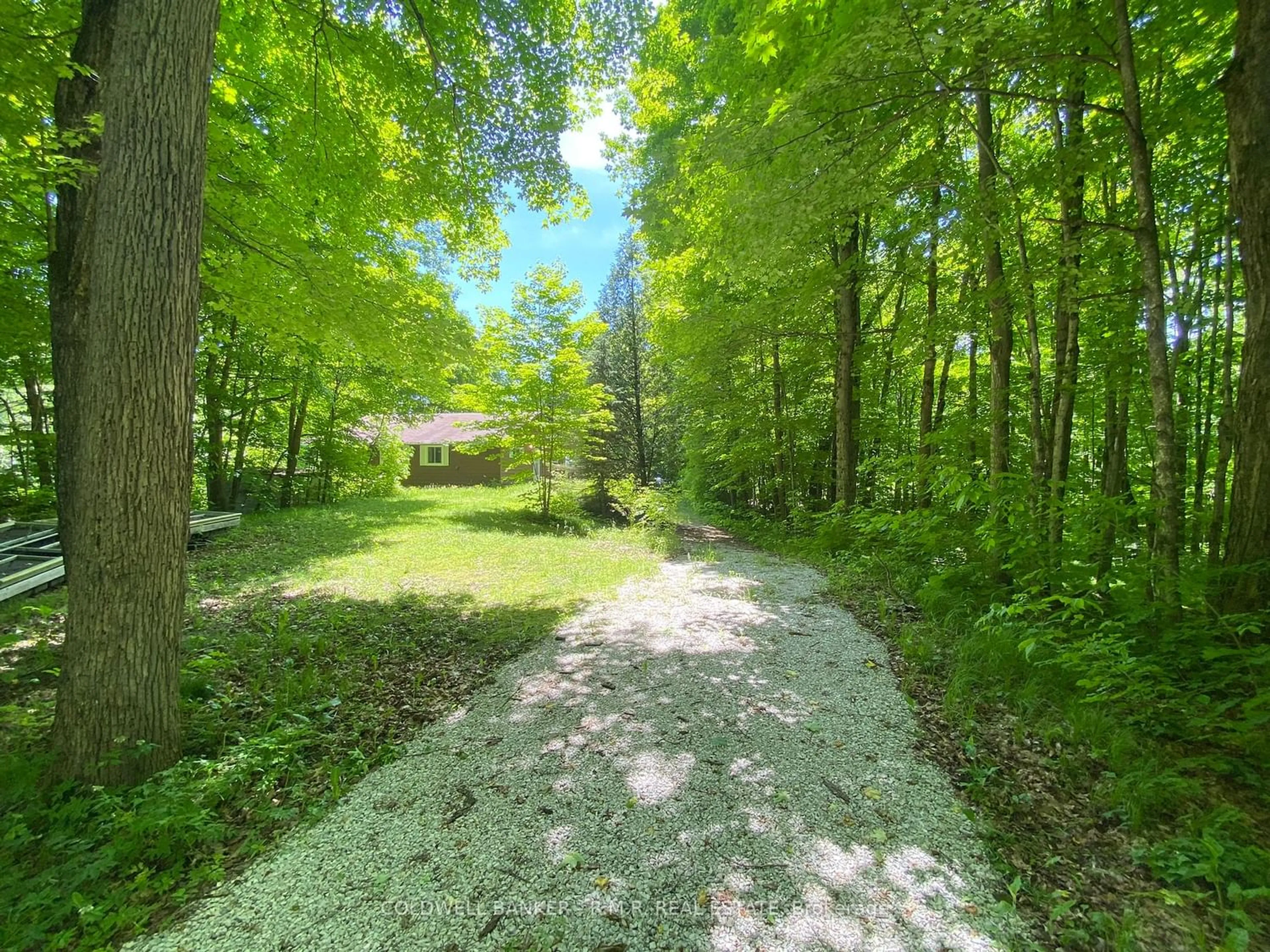 Forest view for 3493 Southwood Beach Blvd, Ramara Ontario L0K 2B0