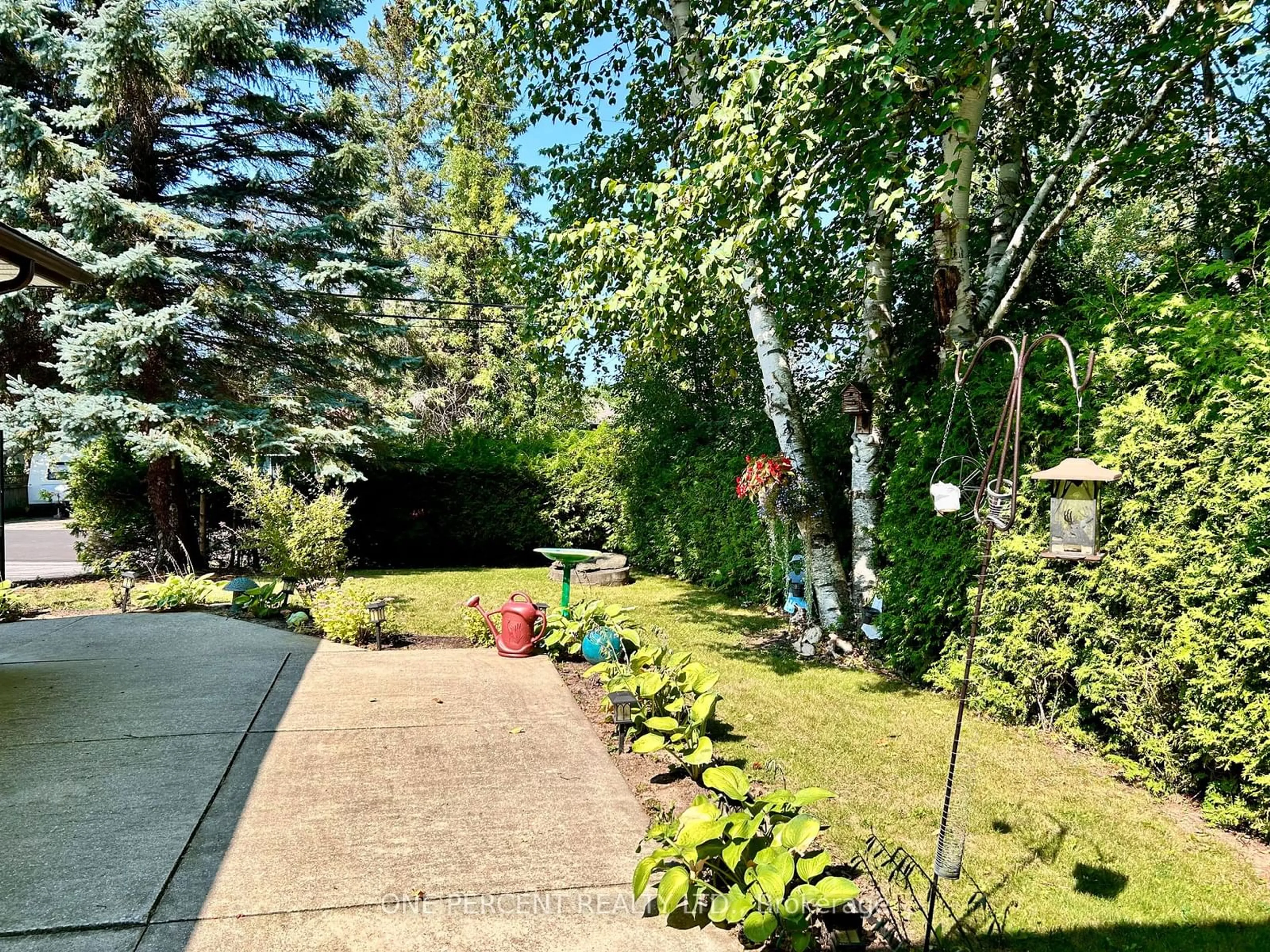 Patio, the street view for 24 Broadview St, Collingwood Ontario L9Y 0X2