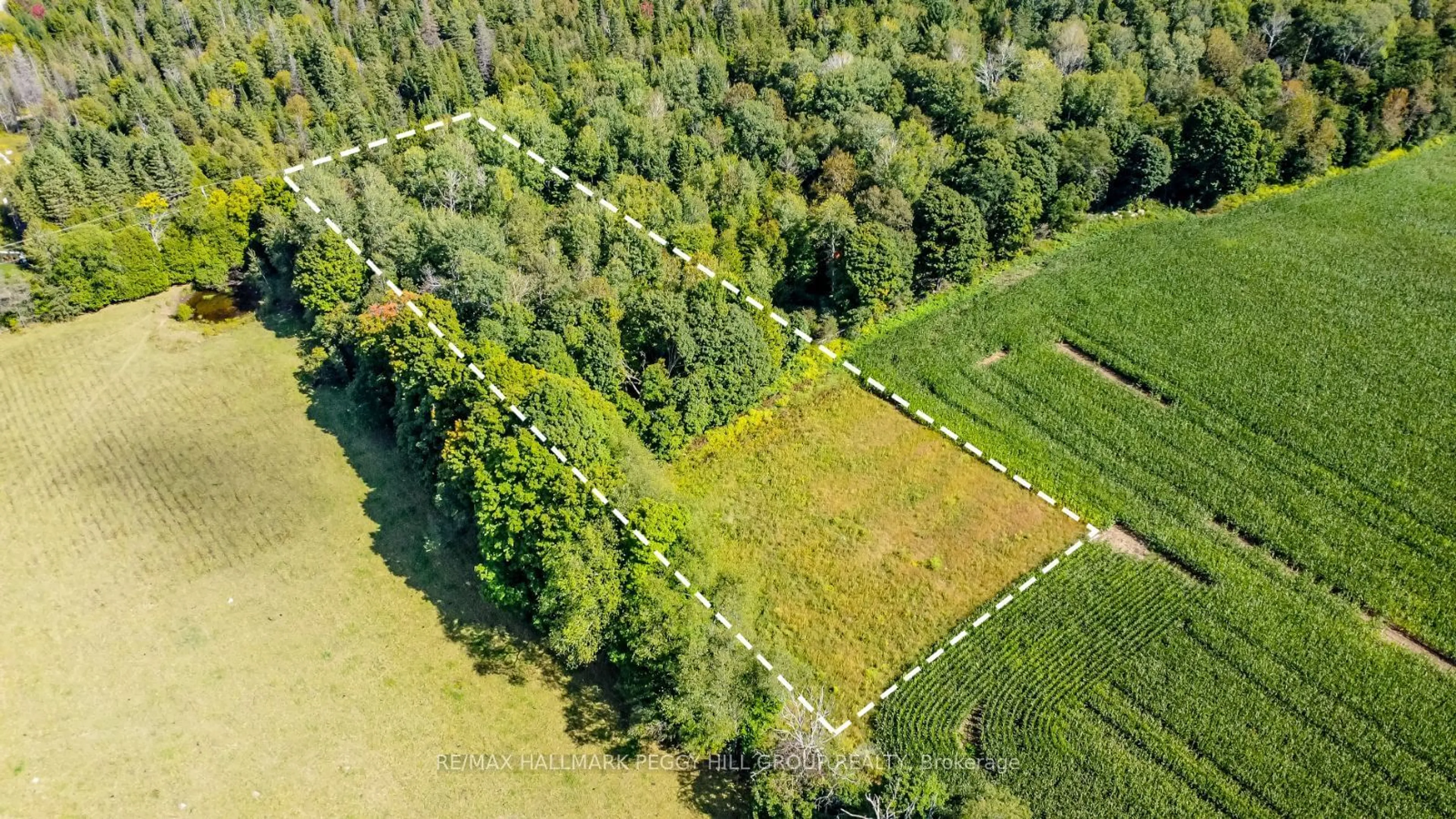 A pic from outside/outdoor area/front of a property/back of a property/a pic from drone, forest/trees view for 2960 Line 8, Oro-Medonte Ontario L0K 1N0