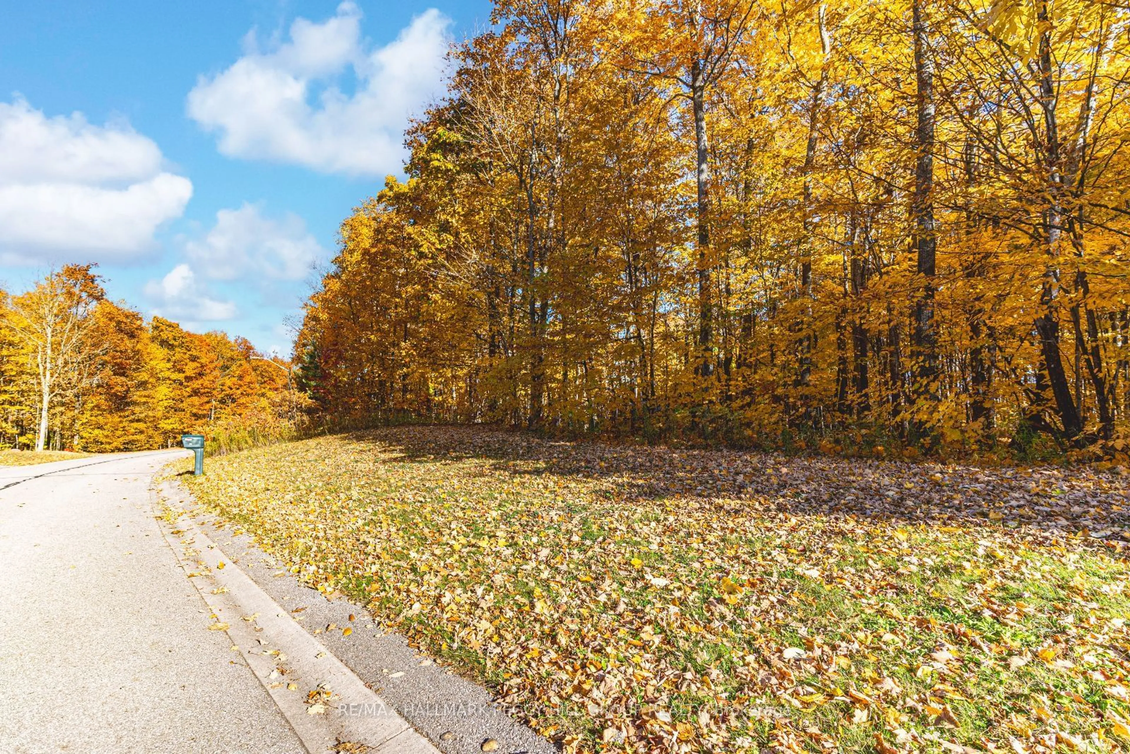 Patio, the street view for 17 Maple Ridge Rd, Oro-Medonte Ontario L0L 2L0