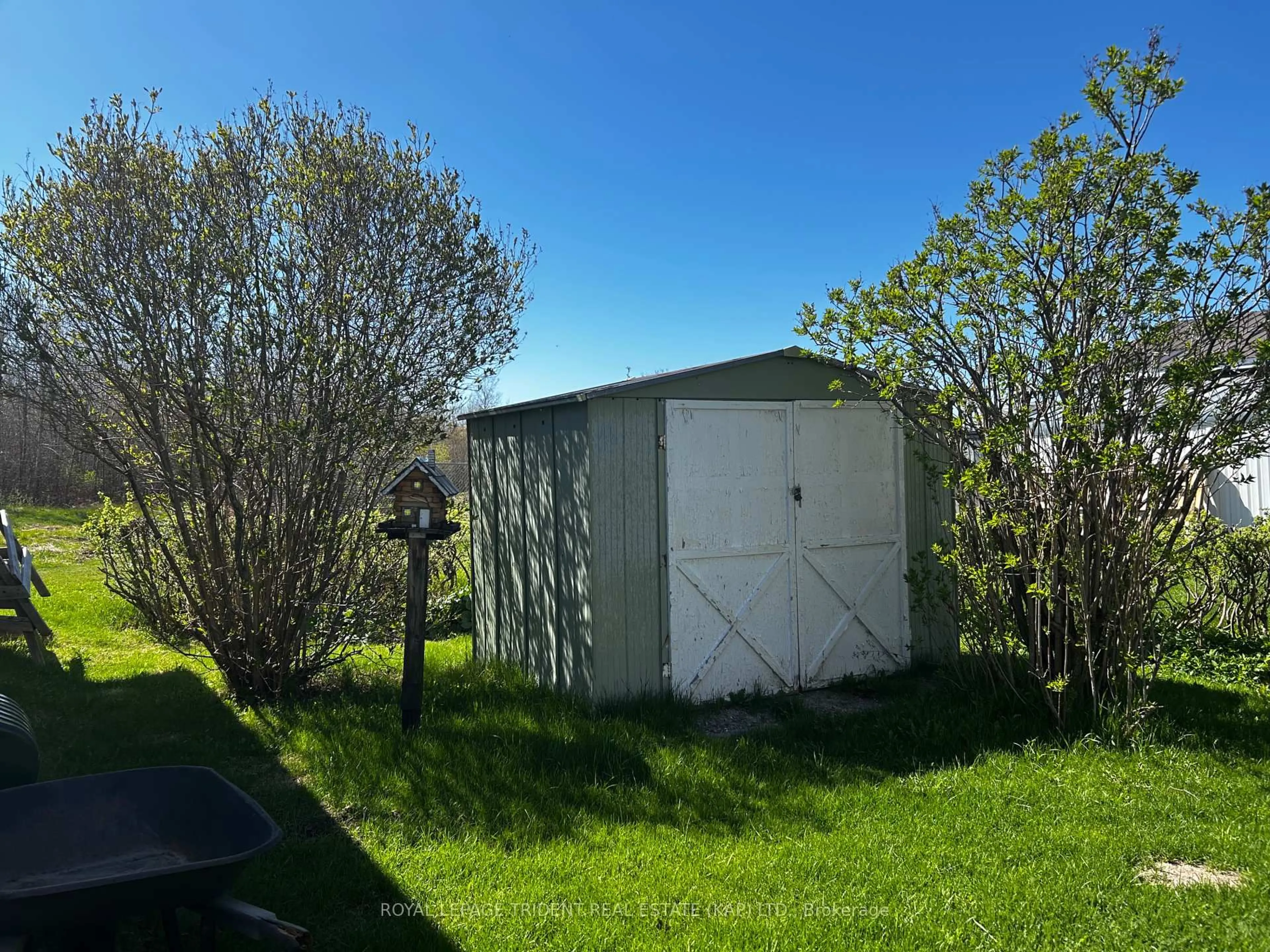 Shed for 9 Ontario Ave, Kapuskasing Ontario P5N 2J4