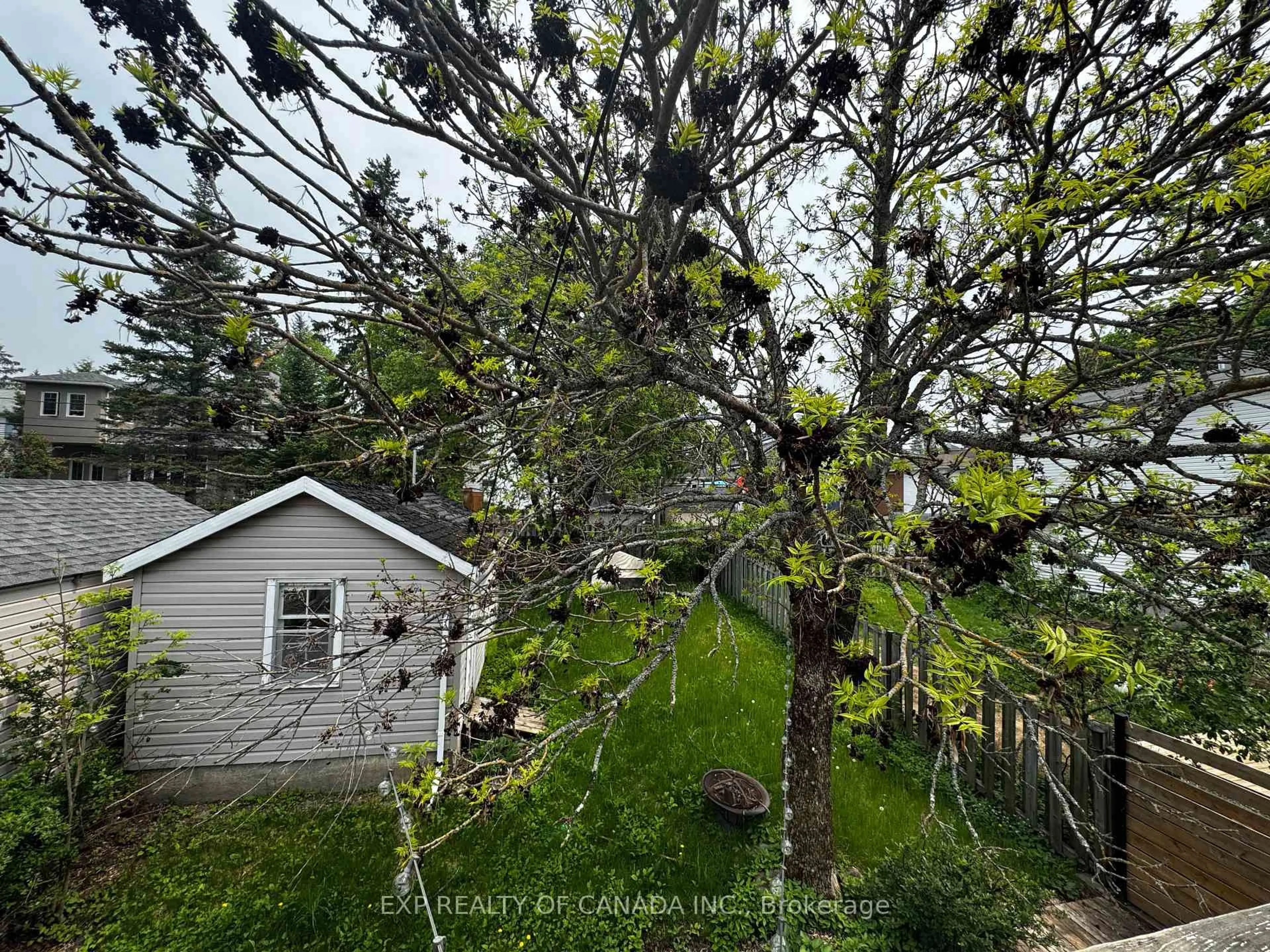 A pic from outside/outdoor area/front of a property/back of a property/a pic from drone, forest/trees view for 364 Cherry St, Timmins Ontario P4N 6W7