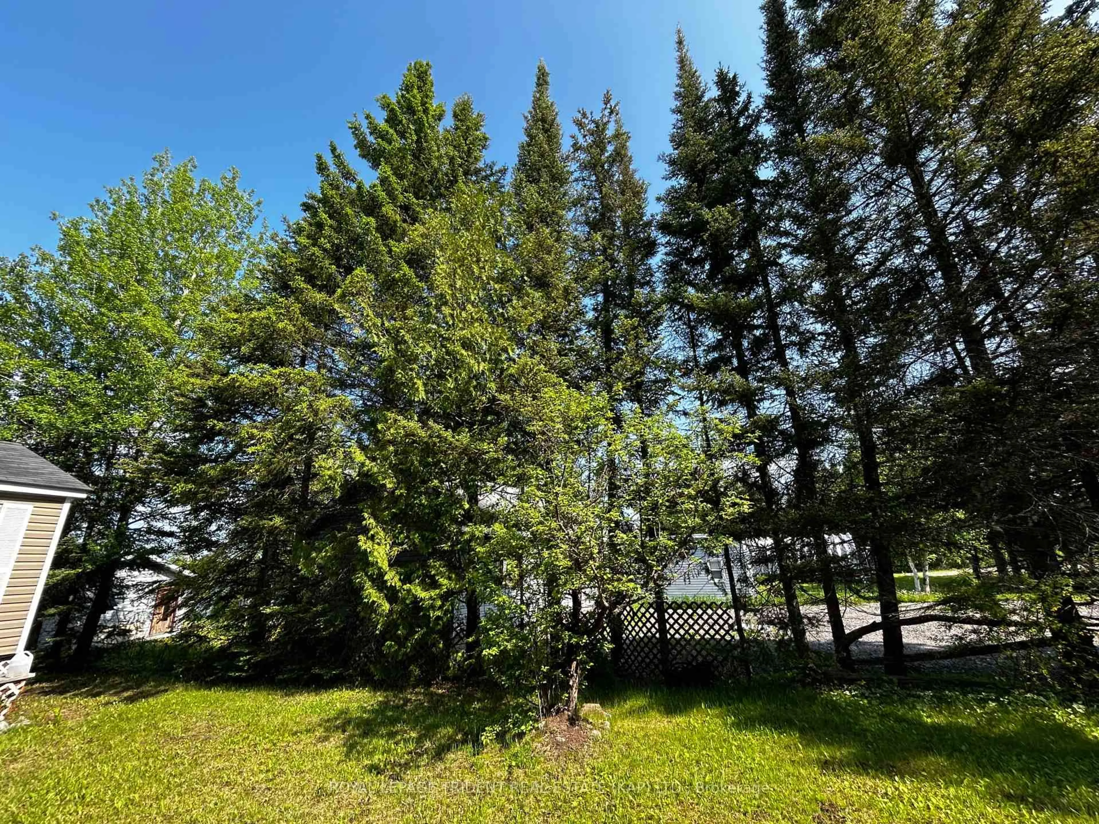 A pic from outside/outdoor area/front of a property/back of a property/a pic from drone, forest/trees view for 59 Remi Lake Rd, Moonbeam Ontario P0L 1V0
