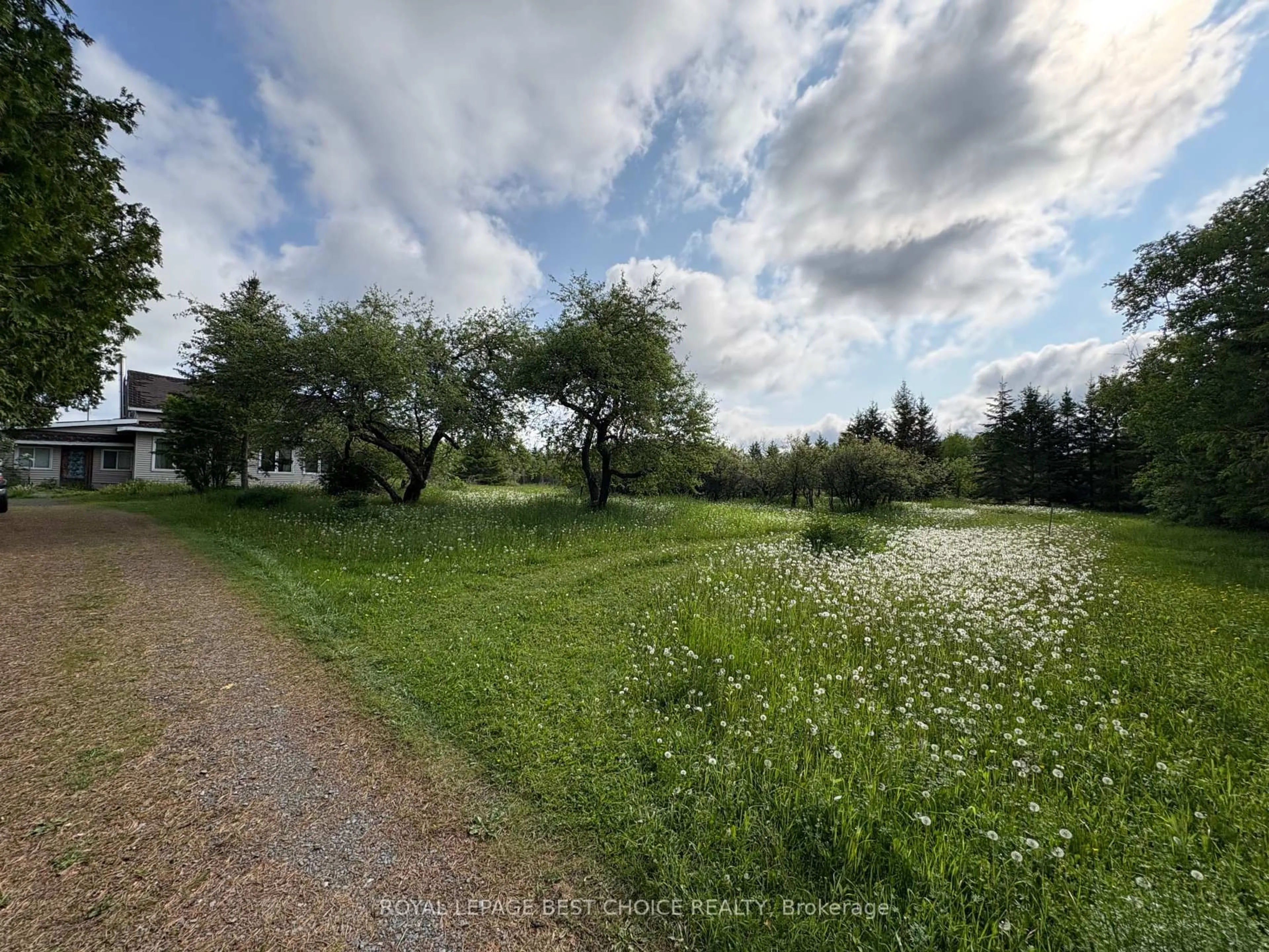 A pic from outside/outdoor area/front of a property/back of a property/a pic from drone, forest/trees view for 964253 Development Rd, Harley Ontario P0J 1S0