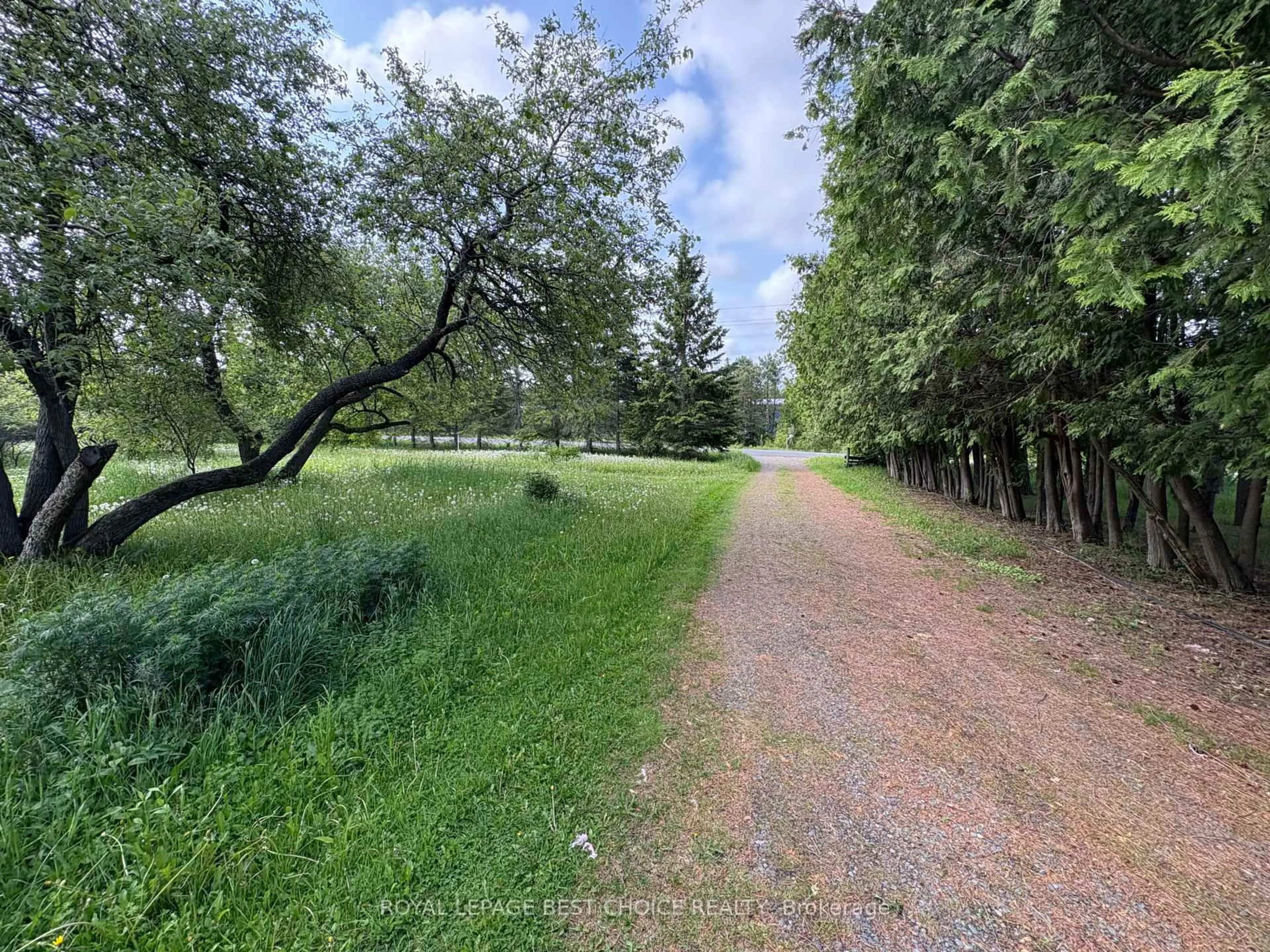 A pic from outside/outdoor area/front of a property/back of a property/a pic from drone, forest/trees view for 964253 Development Rd, Harley Ontario P0J 1S0