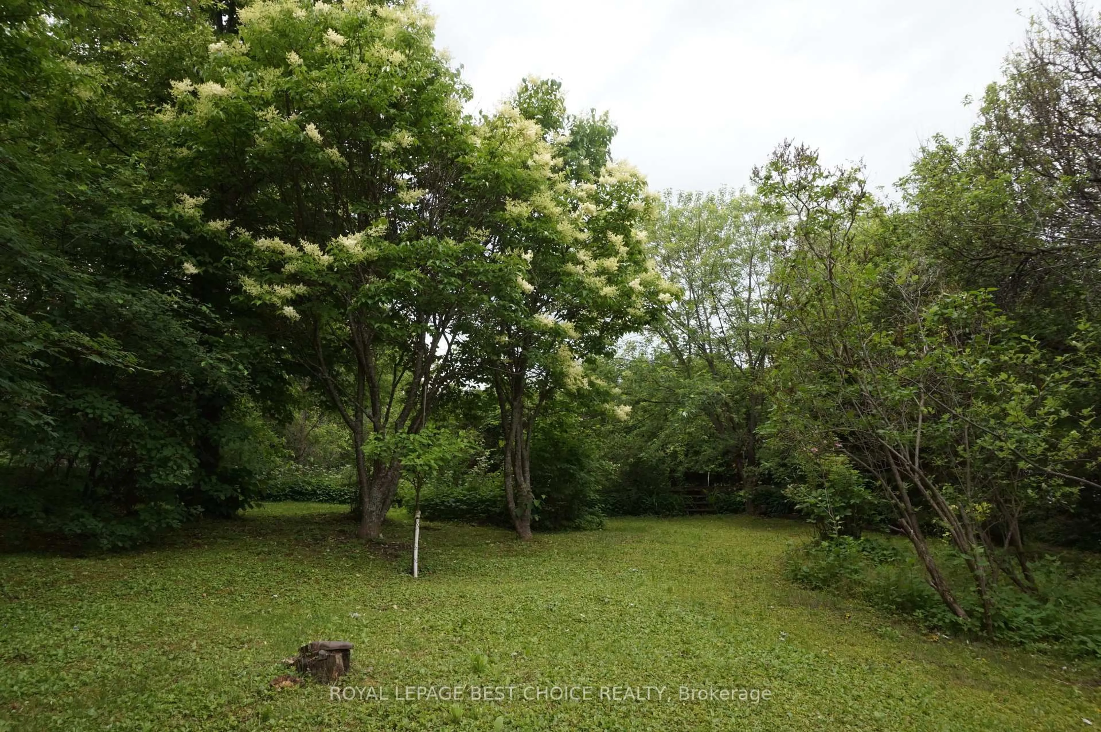 A pic from outside/outdoor area/front of a property/back of a property/a pic from drone, forest/trees view for 748 Lakeshore Rd, Temiskaming Shores Ontario P0J 1K0