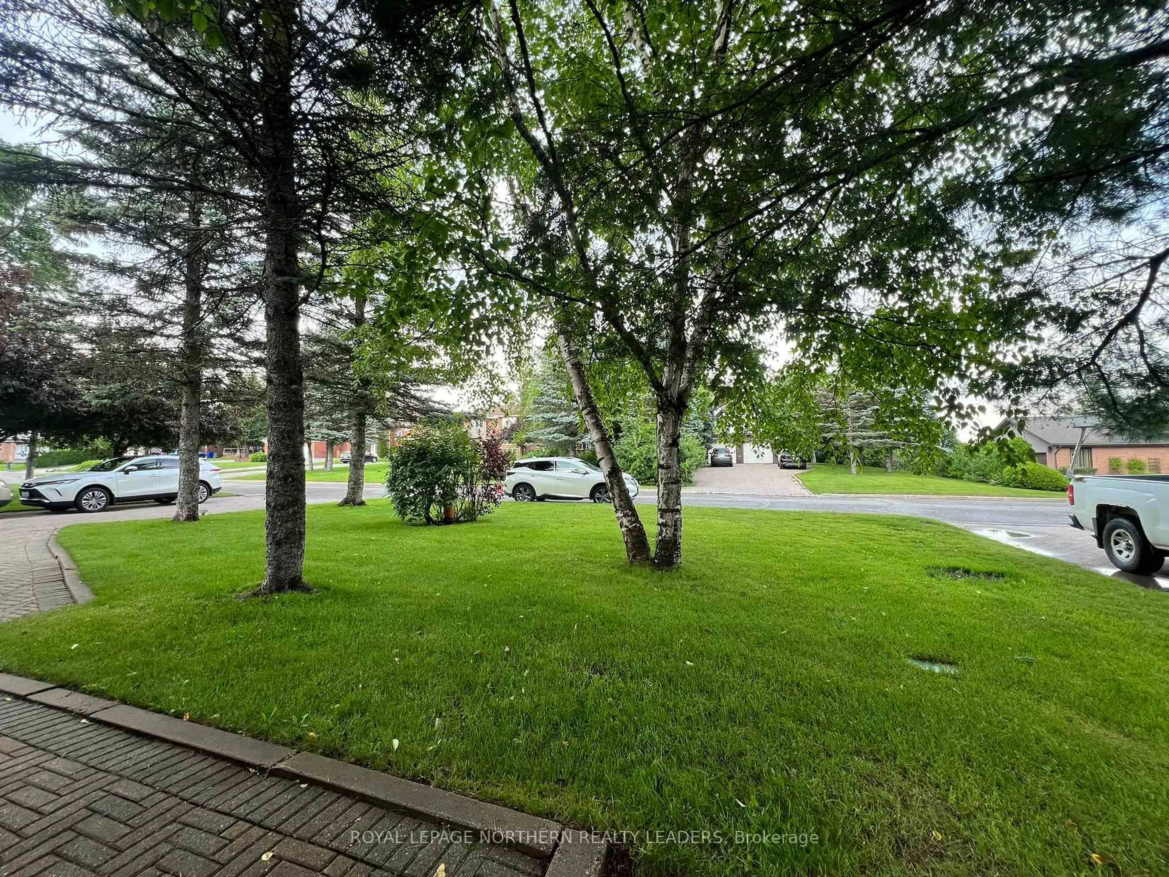 A pic from outside/outdoor area/front of a property/back of a property/a pic from drone, forest/trees view for 297 Cameron St, Timmins Ontario P4N 8L4
