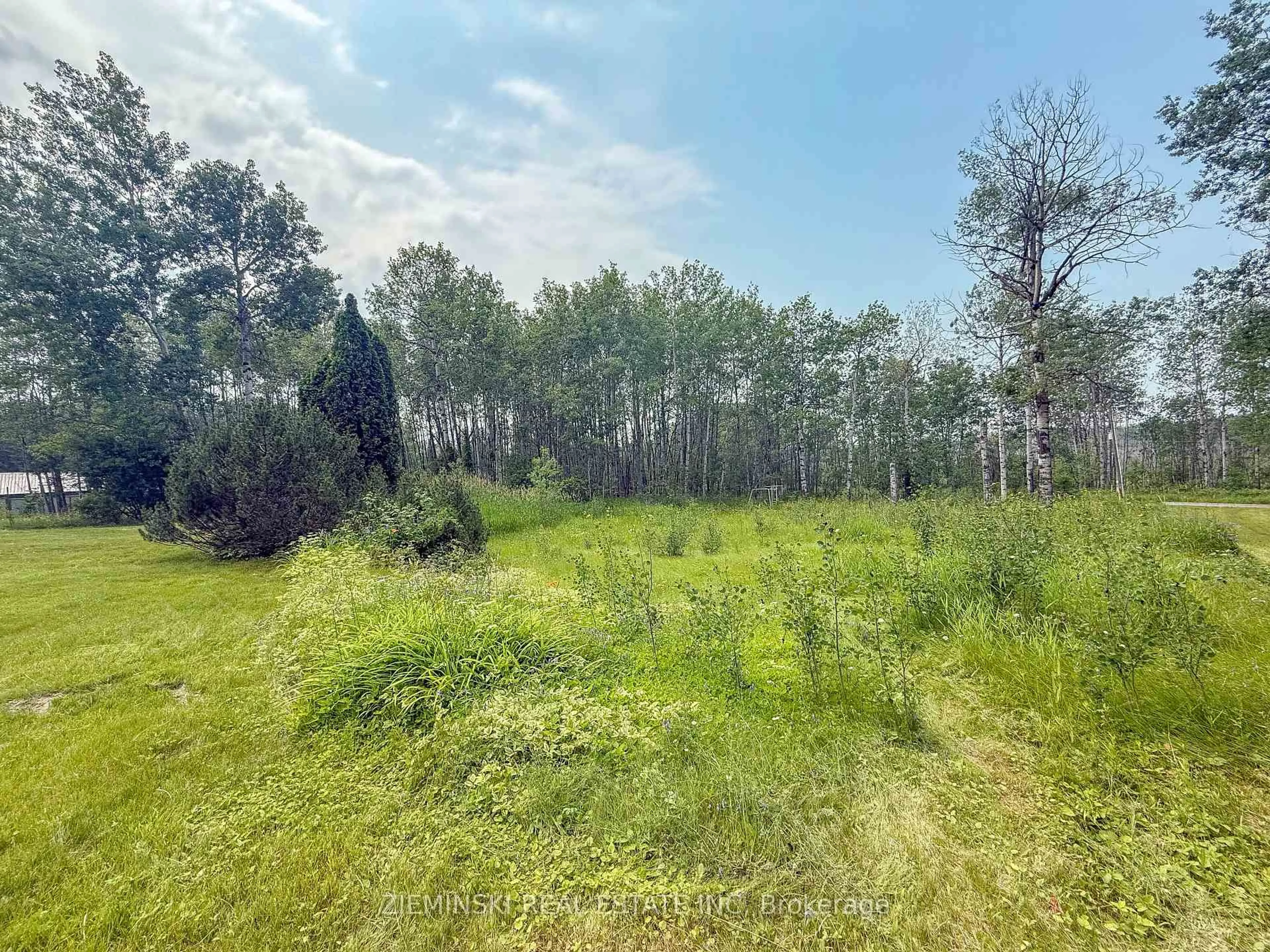 A pic from outside/outdoor area/front of a property/back of a property/a pic from drone, forest/trees view for 1040 Ruby Rd, Black River-Matheson Ontario P0K 1N0