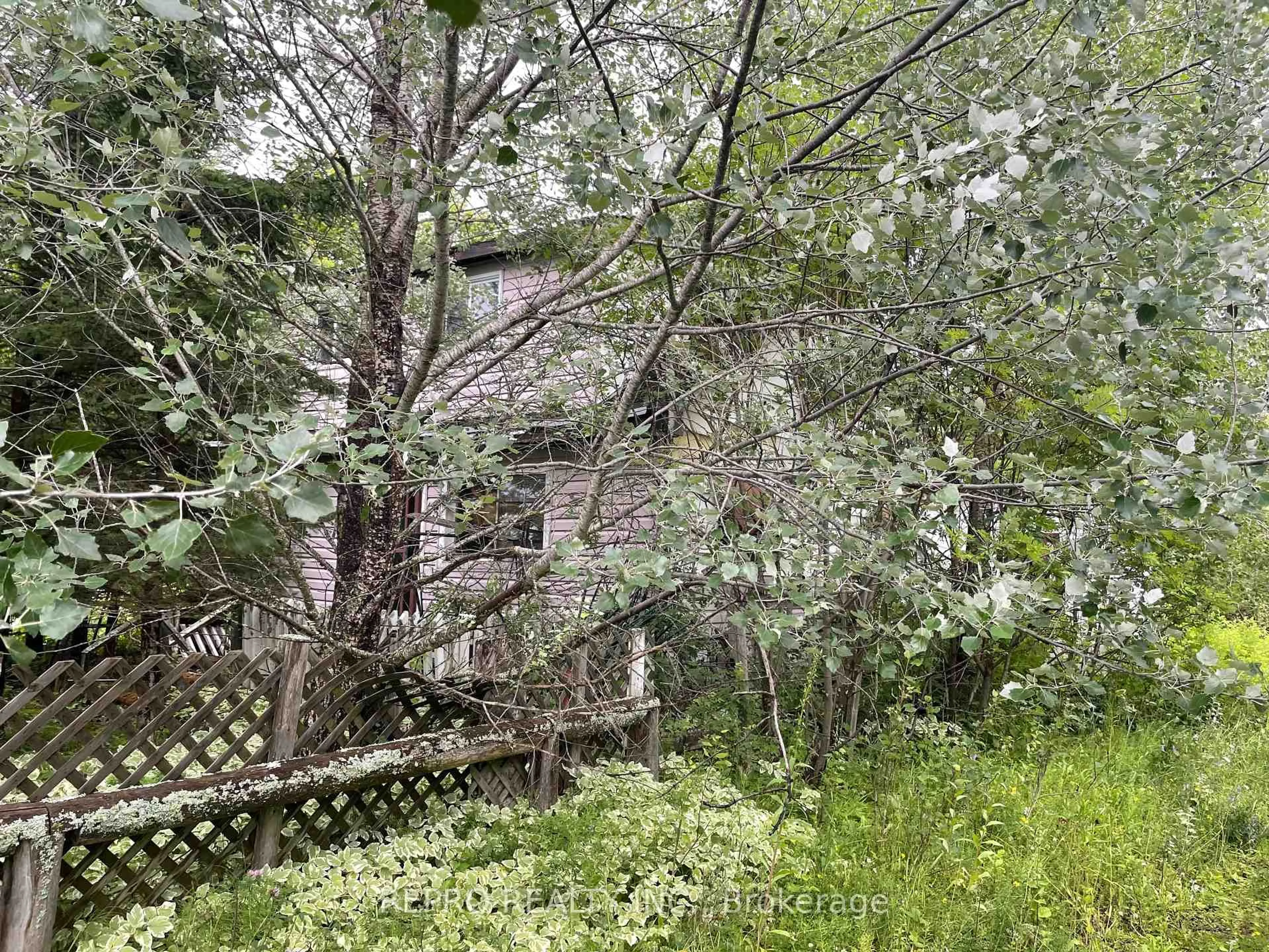 A pic from outside/outdoor area/front of a property/back of a property/a pic from drone, forest/trees view for 65 Edward St, Iroquois Falls Ontario P0N 1E0