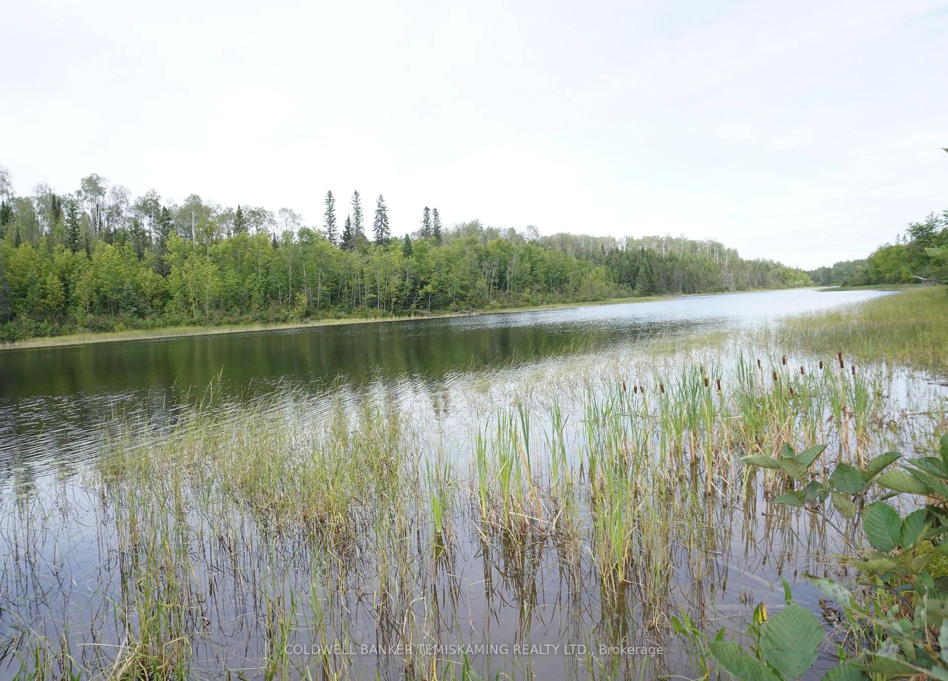 Blurry image for Lot 1 CAMPBELL'S Rd, Timiskaming Ontario P0J 1B0