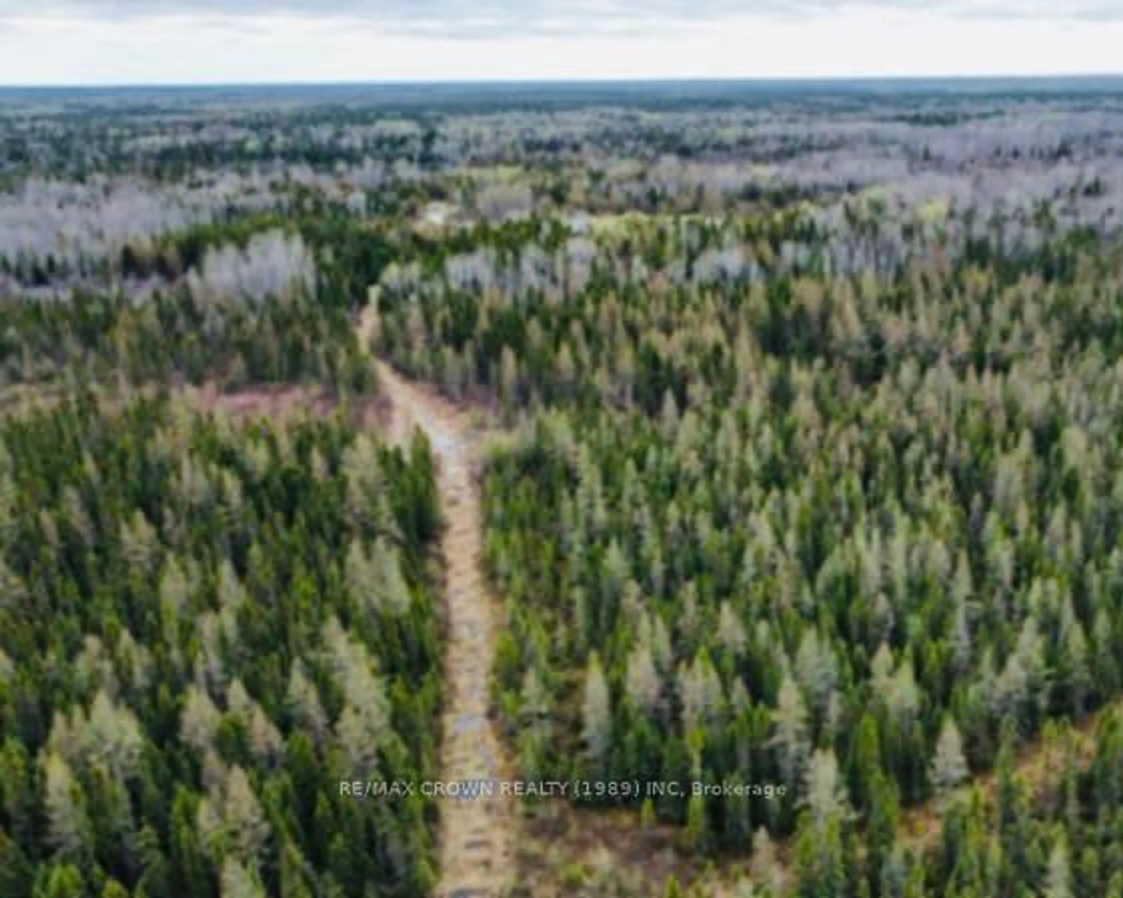 A pic from outside/outdoor area/front of a property/back of a property/a pic from drone, forest/trees view for 288 McNee St, Hearst Ontario P0L 1N0