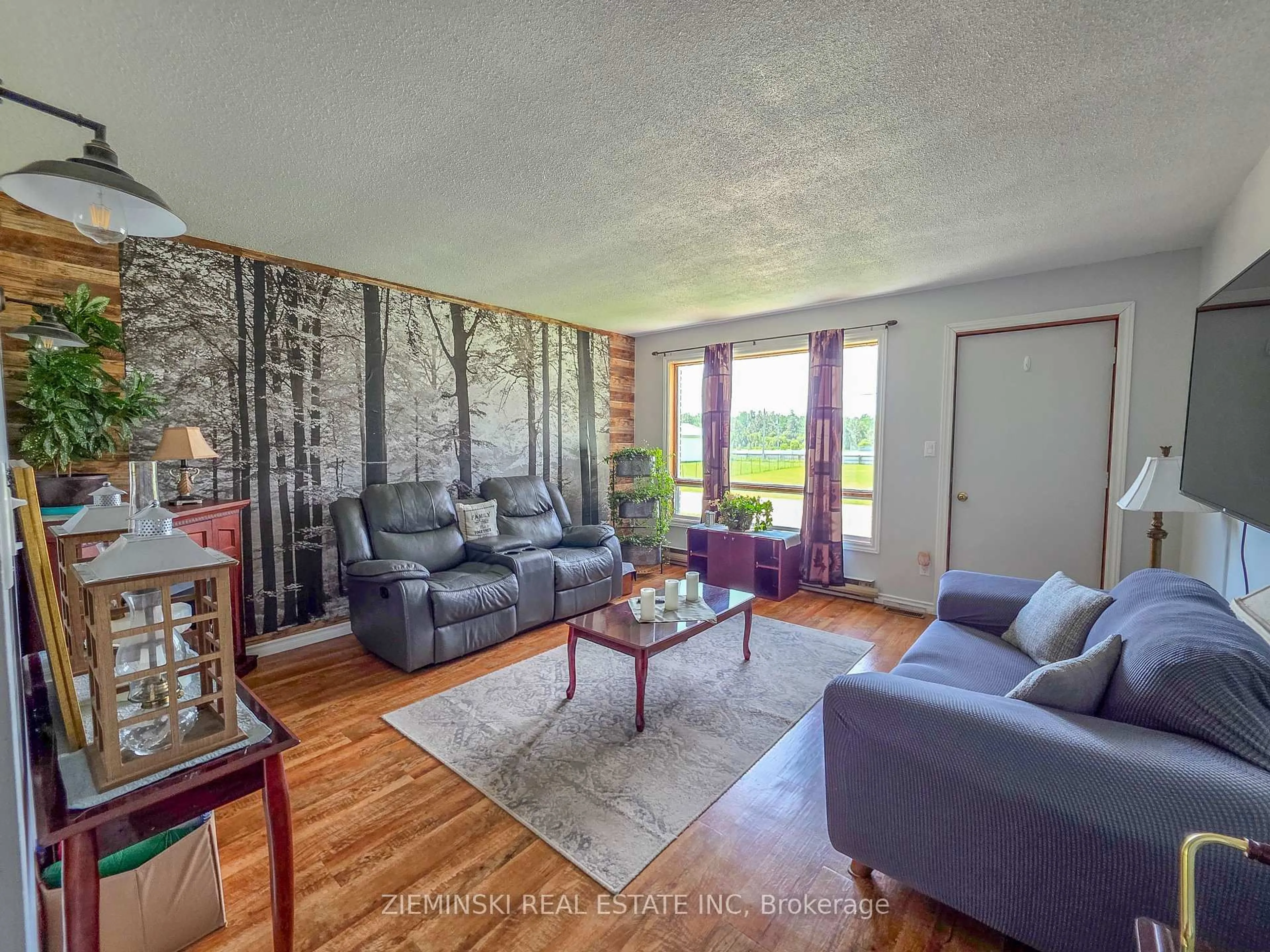 Living room with furniture, unknown for 329 Timmins Ave, Black River-Matheson Ontario P0K 1R0