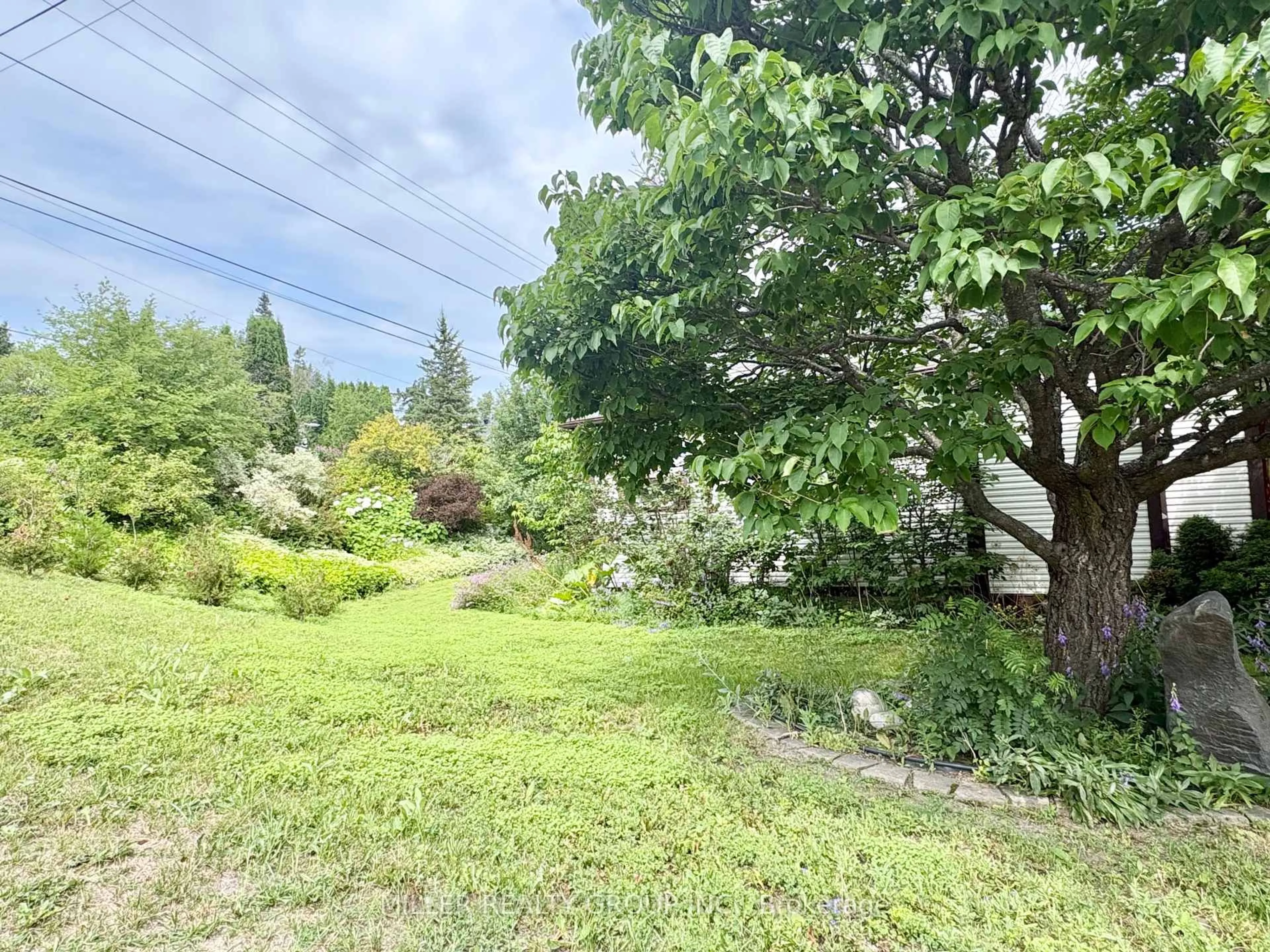 A pic from outside/outdoor area/front of a property/back of a property/a pic from drone, forest/trees view for 733 Latchford St, Temiskaming Shores Ontario P0J 1K0