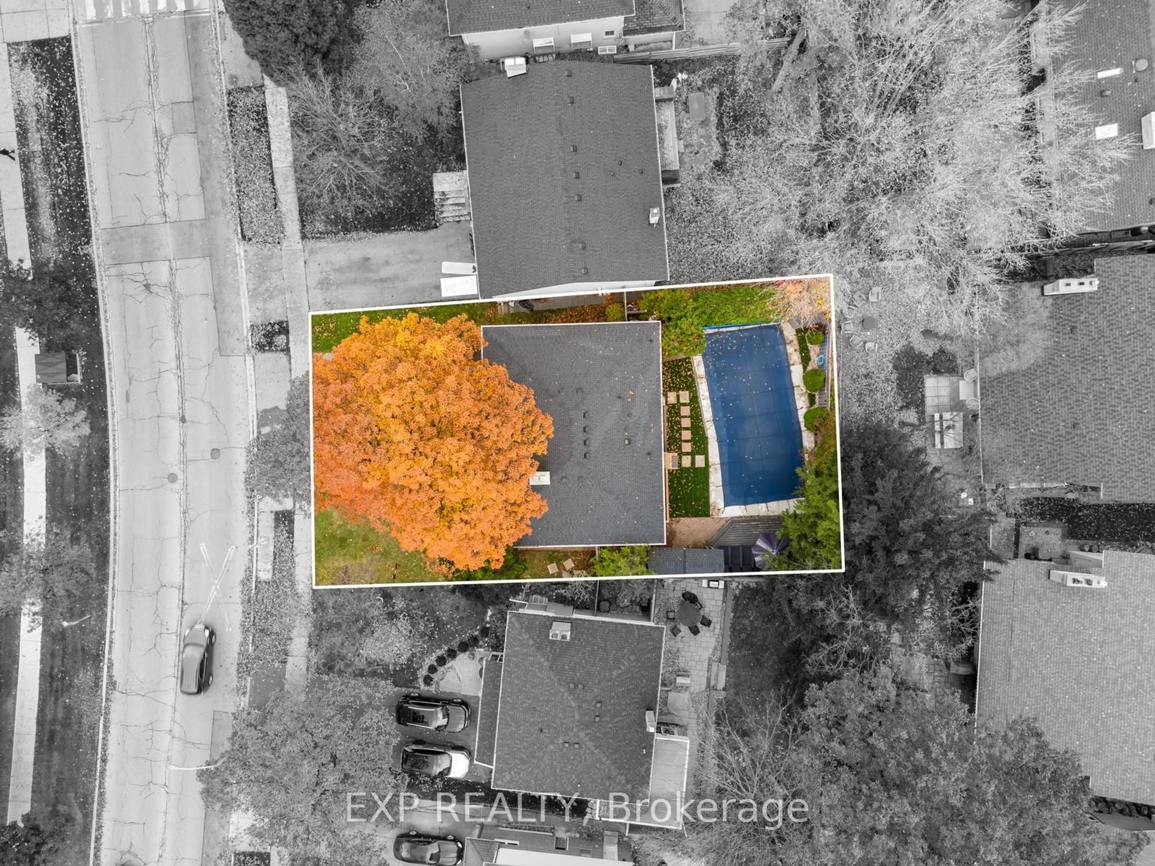 Frontside or backside of a home, the street view for 215 Mill Rd, Toronto Ontario M9C 1Y1