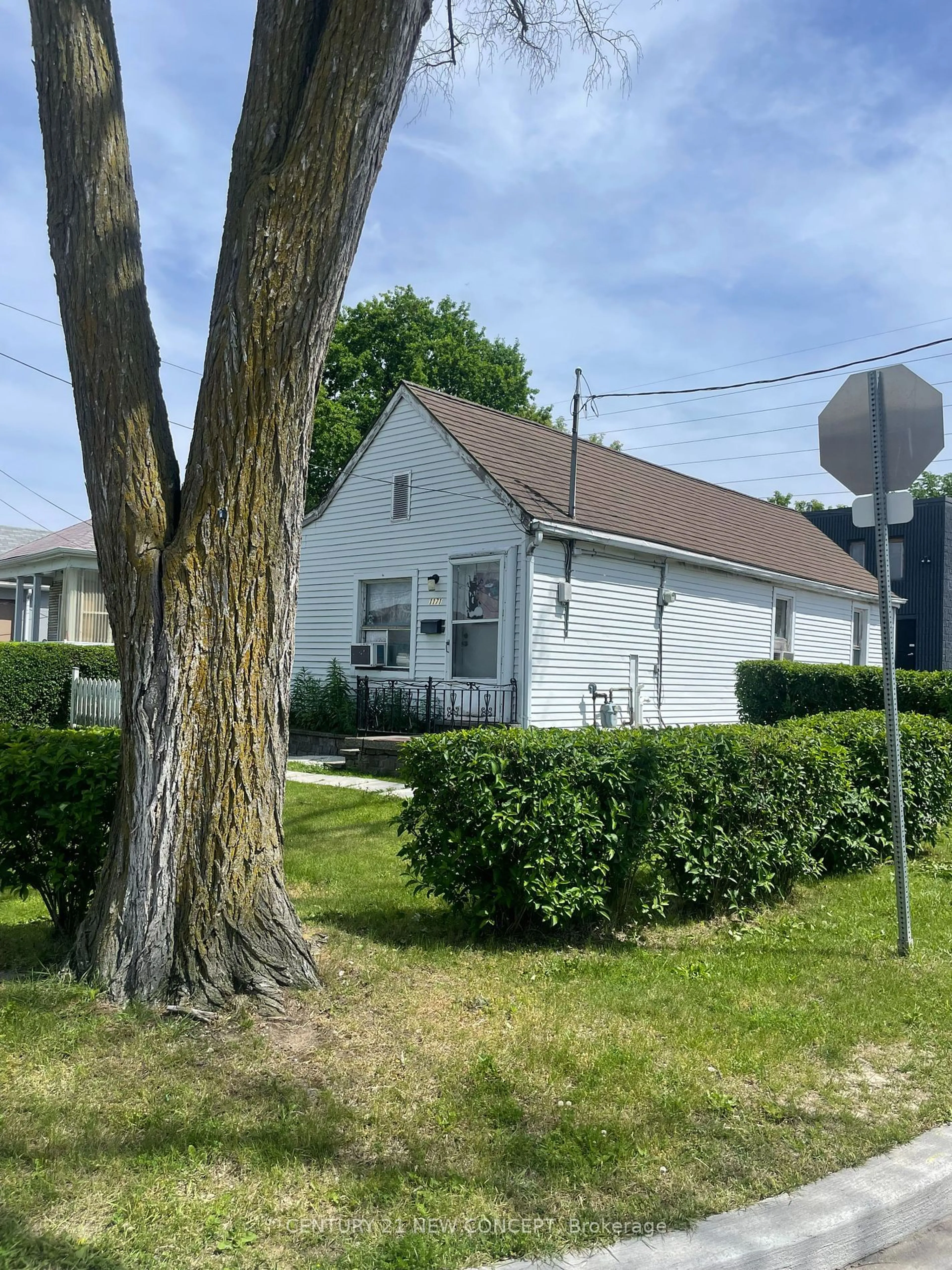 Frontside or backside of a home, the street view for 1171 Roselawn Ave, Toronto Ontario M6B 1C5