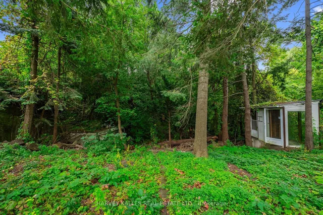 Additional property image - 361 Maple Leaf Dr