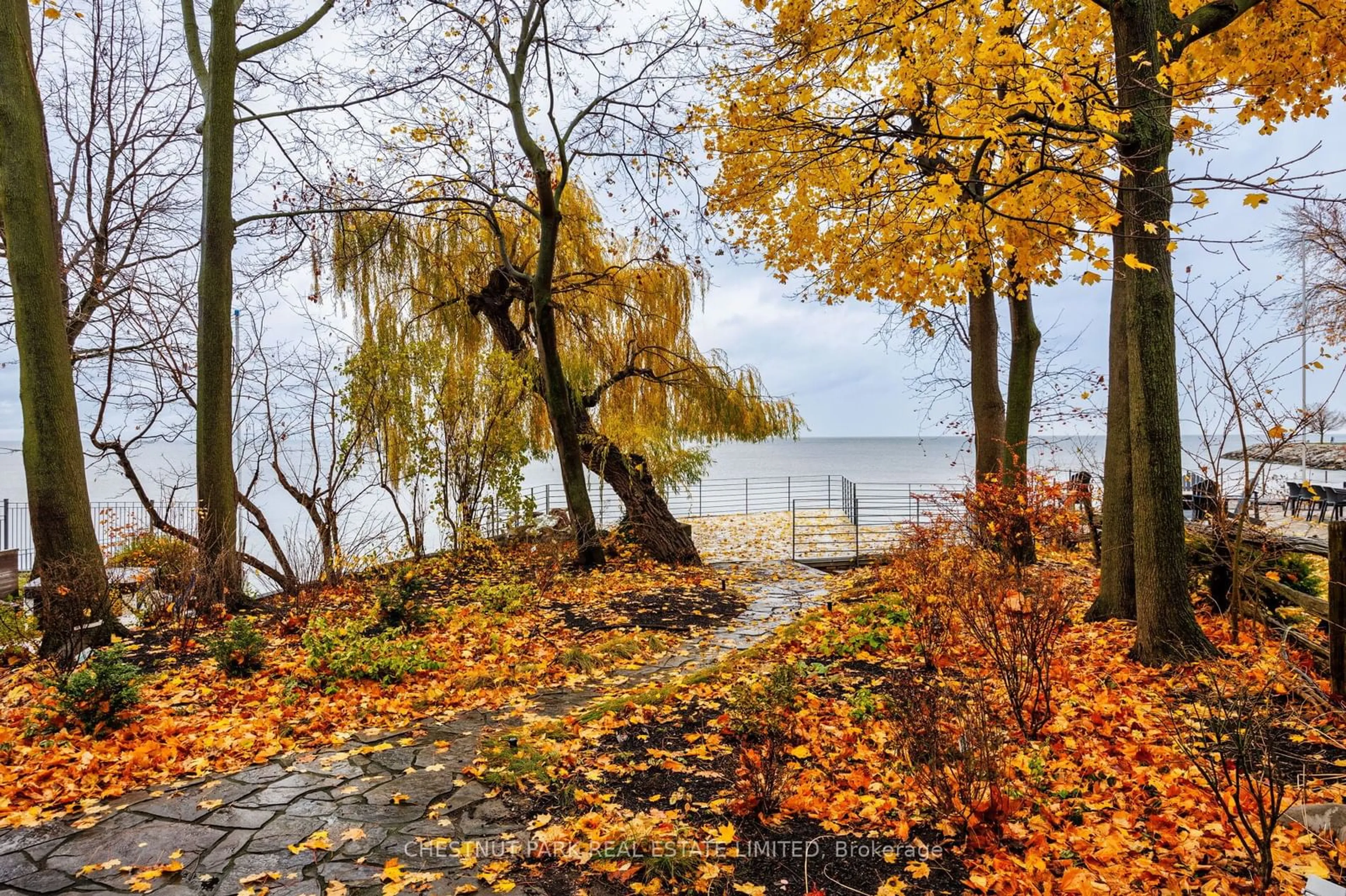 Patio, lake for 3 Lake Shore Dr, Toronto Ontario M8V 1Y9