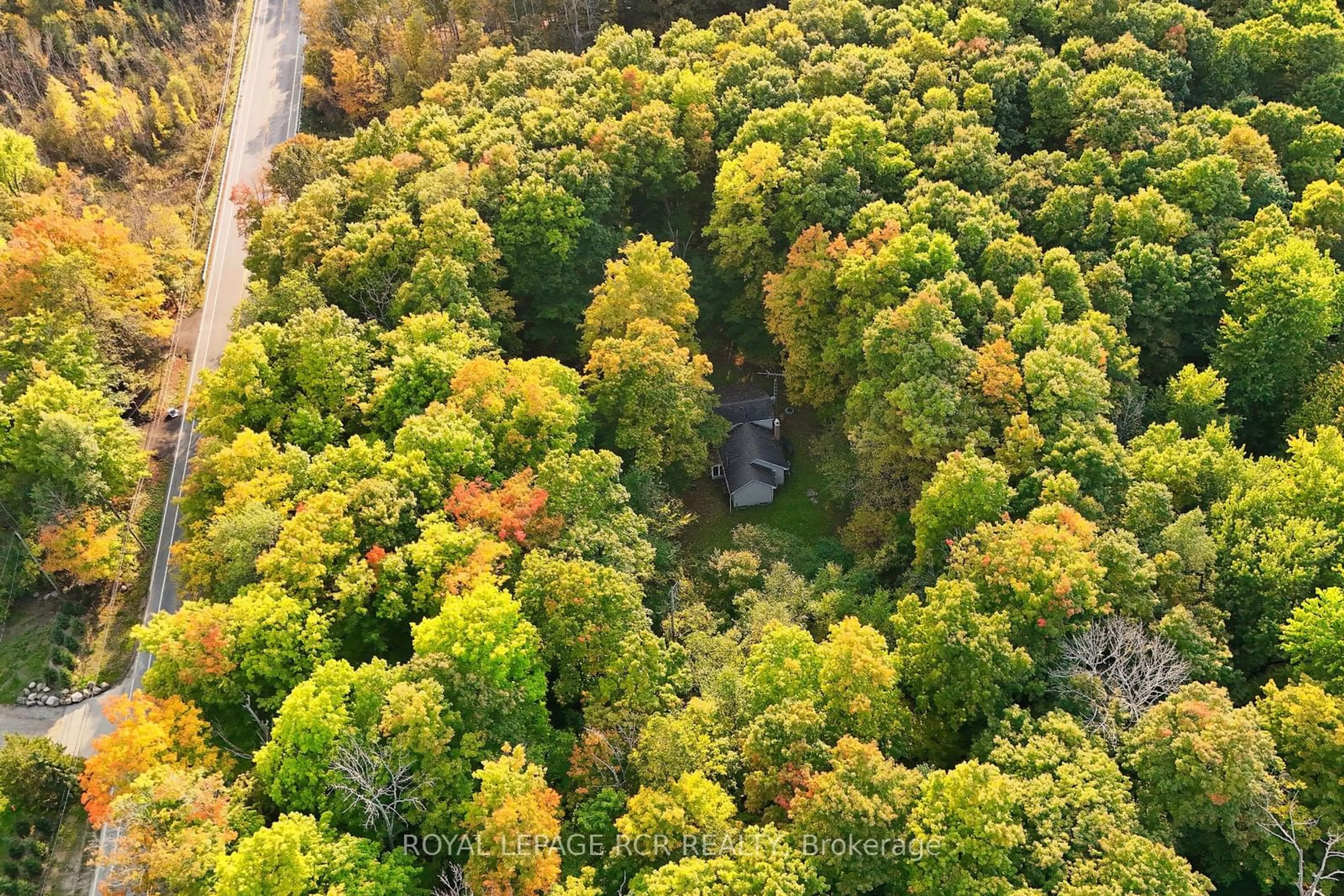 A pic from exterior of the house or condo, forest for 1290 Olde Base Line Rd, Caledon Ontario L7C 0J1