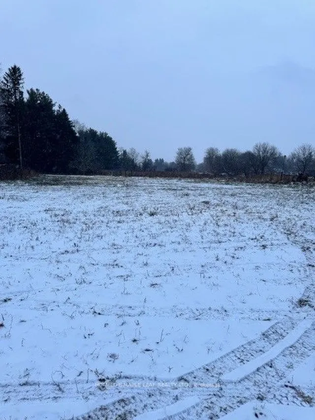 Additional property image - 13716 4th Nassagaweya Line