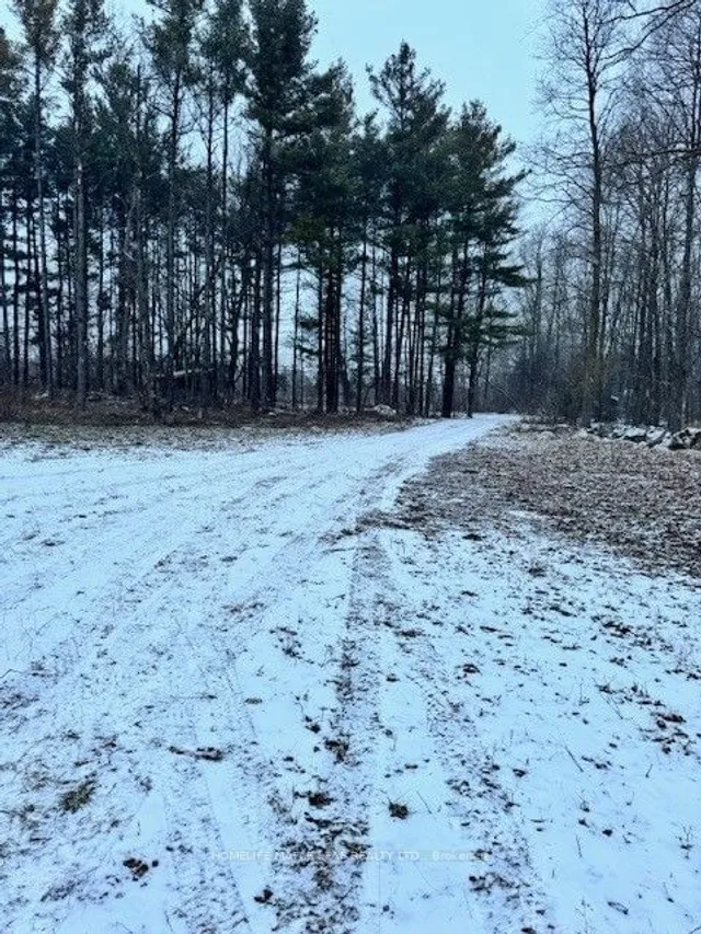 Additional property image - 13716 4th Nassagaweya Line