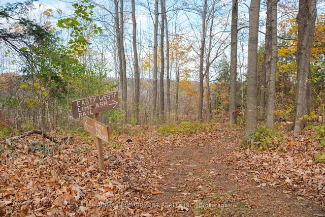 Additional property image - 4317 Limestone Rd