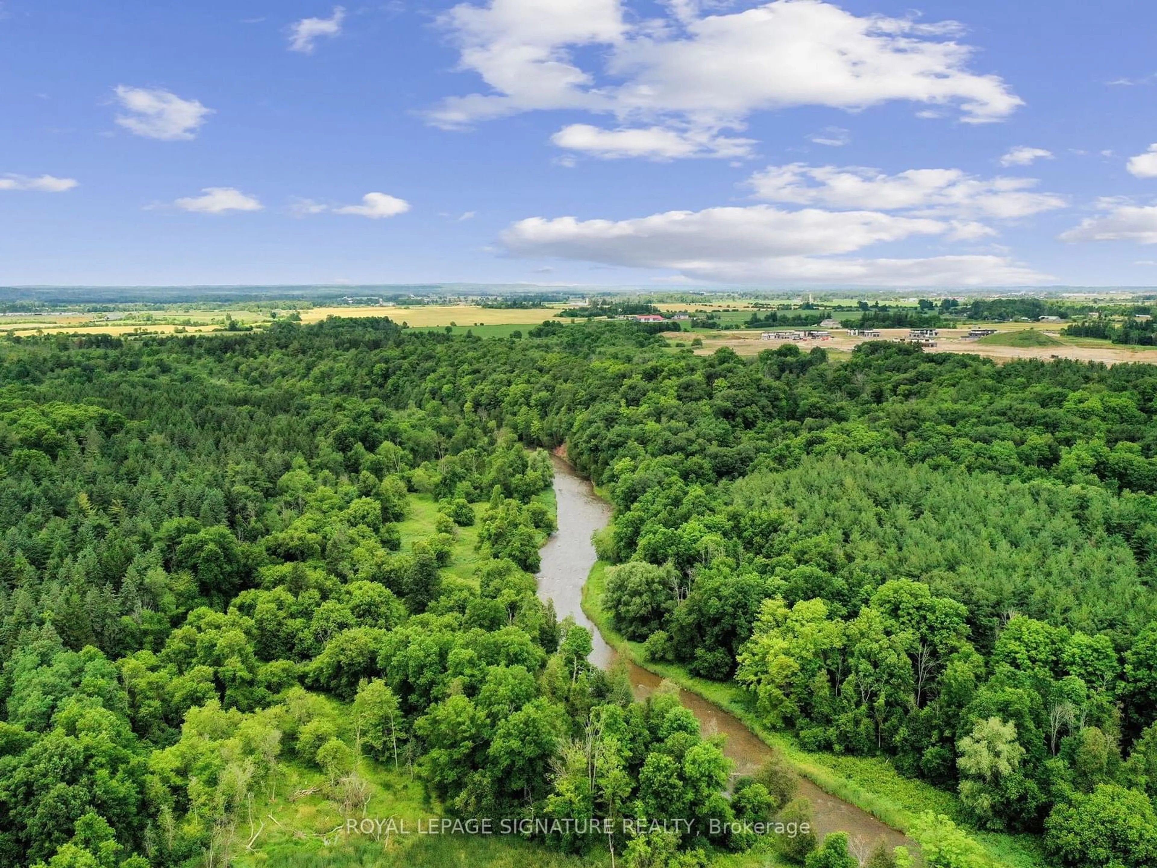 A pic from outside/outdoor area/front of a property/back of a property/a pic from drone, forest/trees view for 91 Upper Canada Crt, Halton Hills Ontario L7G 0L2