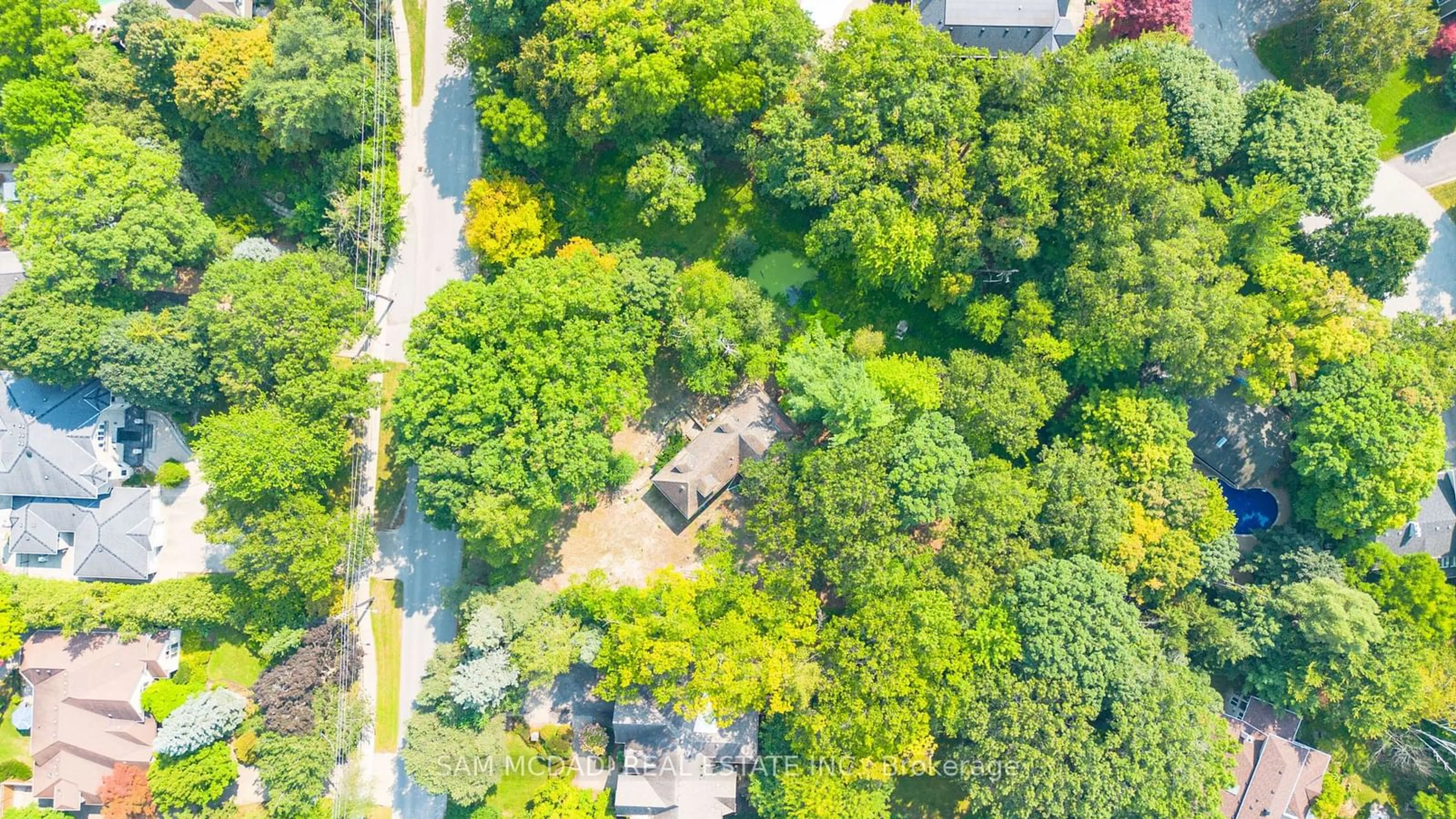 A pic from outside/outdoor area/front of a property/back of a property/a pic from drone, forest/trees view for 1322 Birchview Dr, Mississauga Ontario L5H 3E4