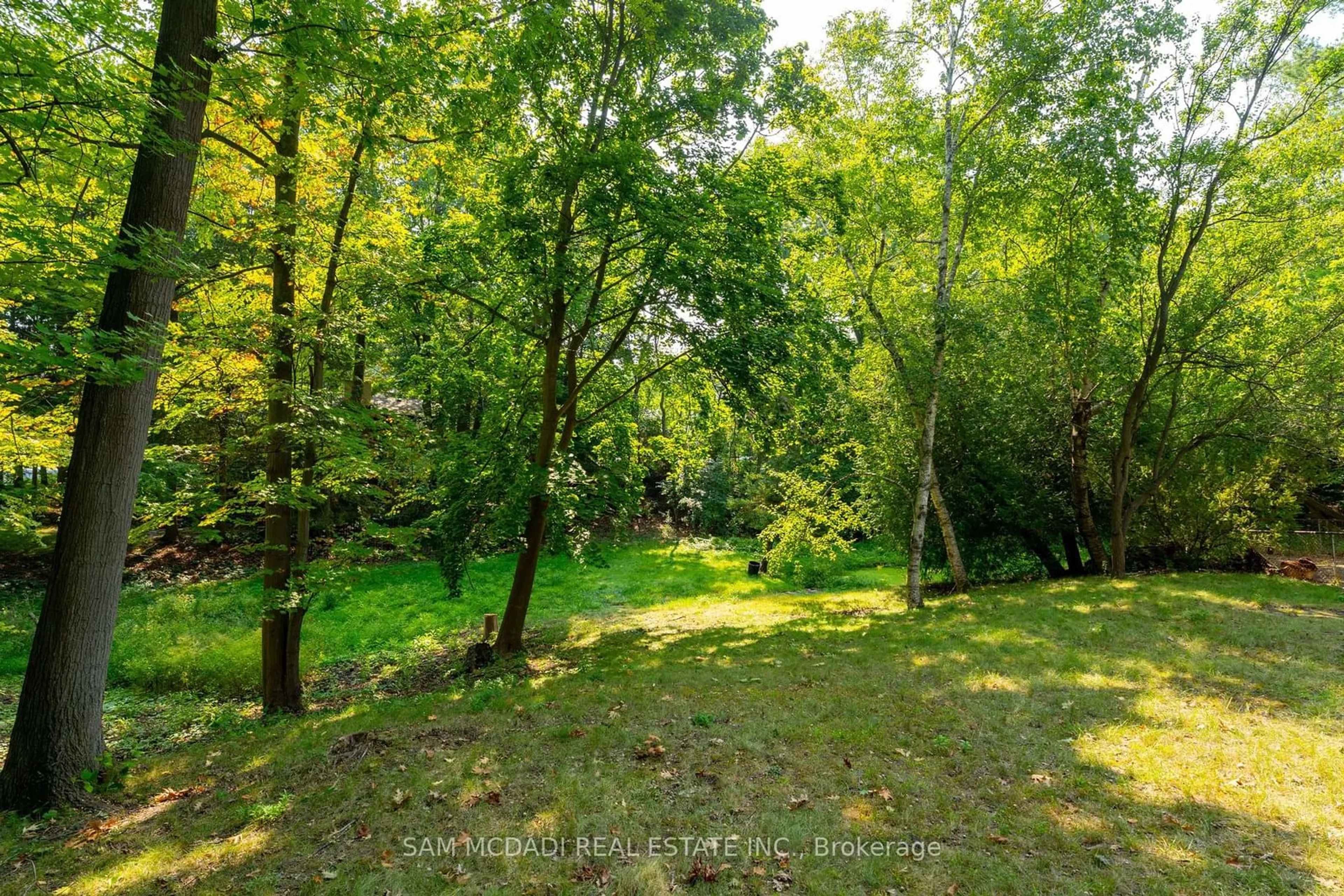 A pic from outside/outdoor area/front of a property/back of a property/a pic from drone, forest/trees view for 1322 Birchview Dr, Mississauga Ontario L5H 3E4