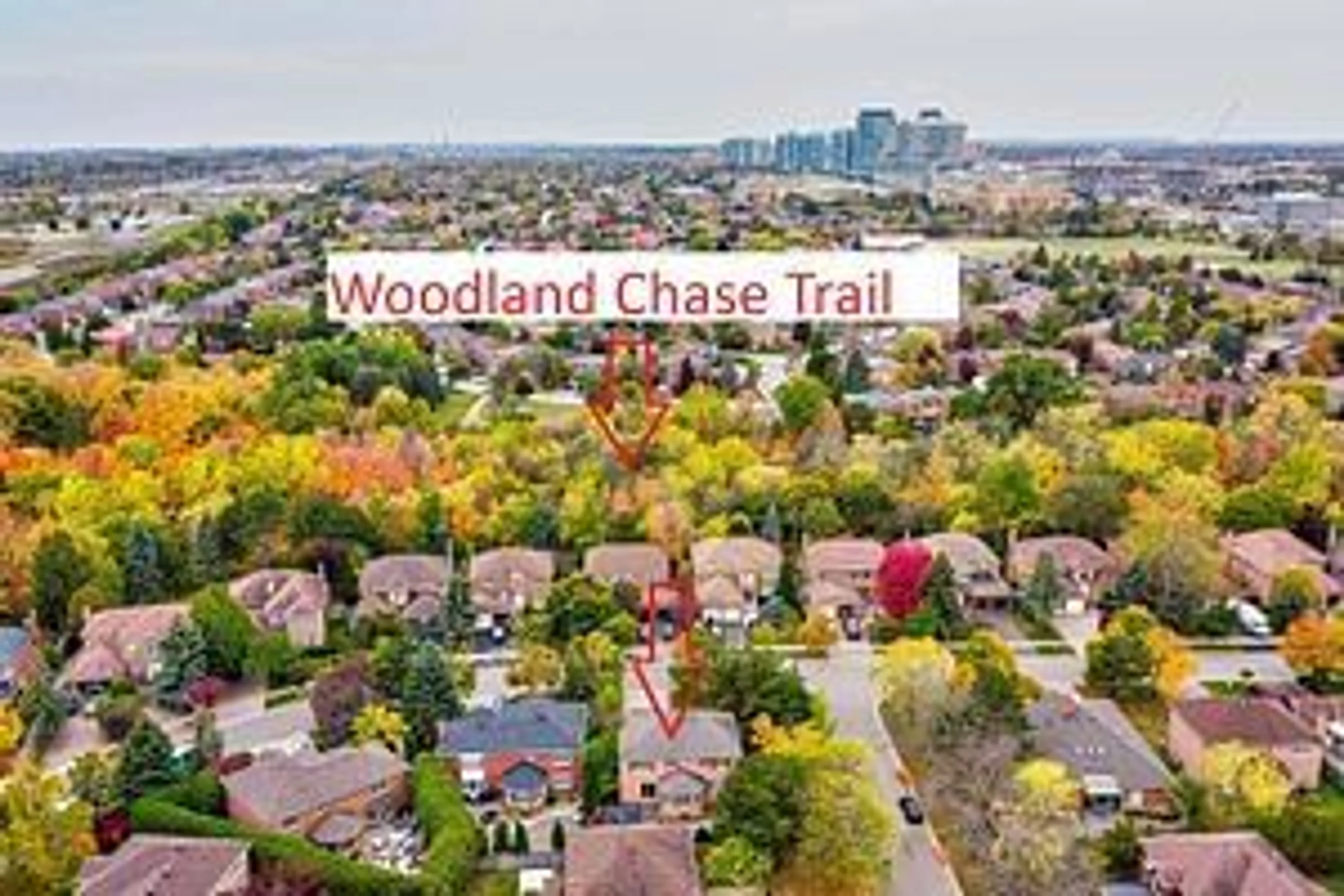 A pic from outside/outdoor area/front of a property/back of a property/a pic from drone, forest/trees view for 4493 Badminton Dr, Mississauga Ontario L5M 3H2