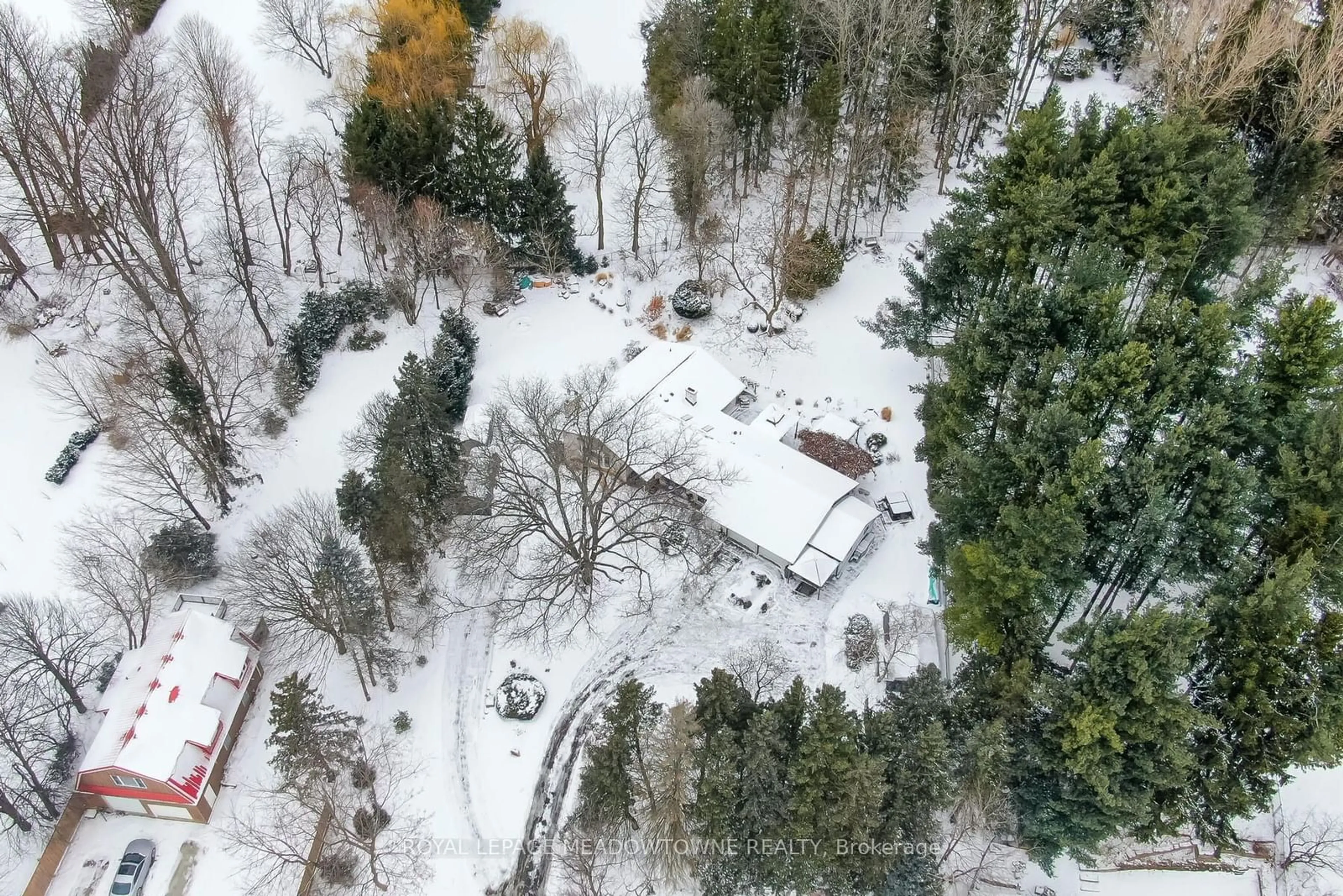 A pic from outside/outdoor area/front of a property/back of a property/a pic from drone, forest/trees view for 36 Ann St, Halton Hills Ontario L7G 2V2