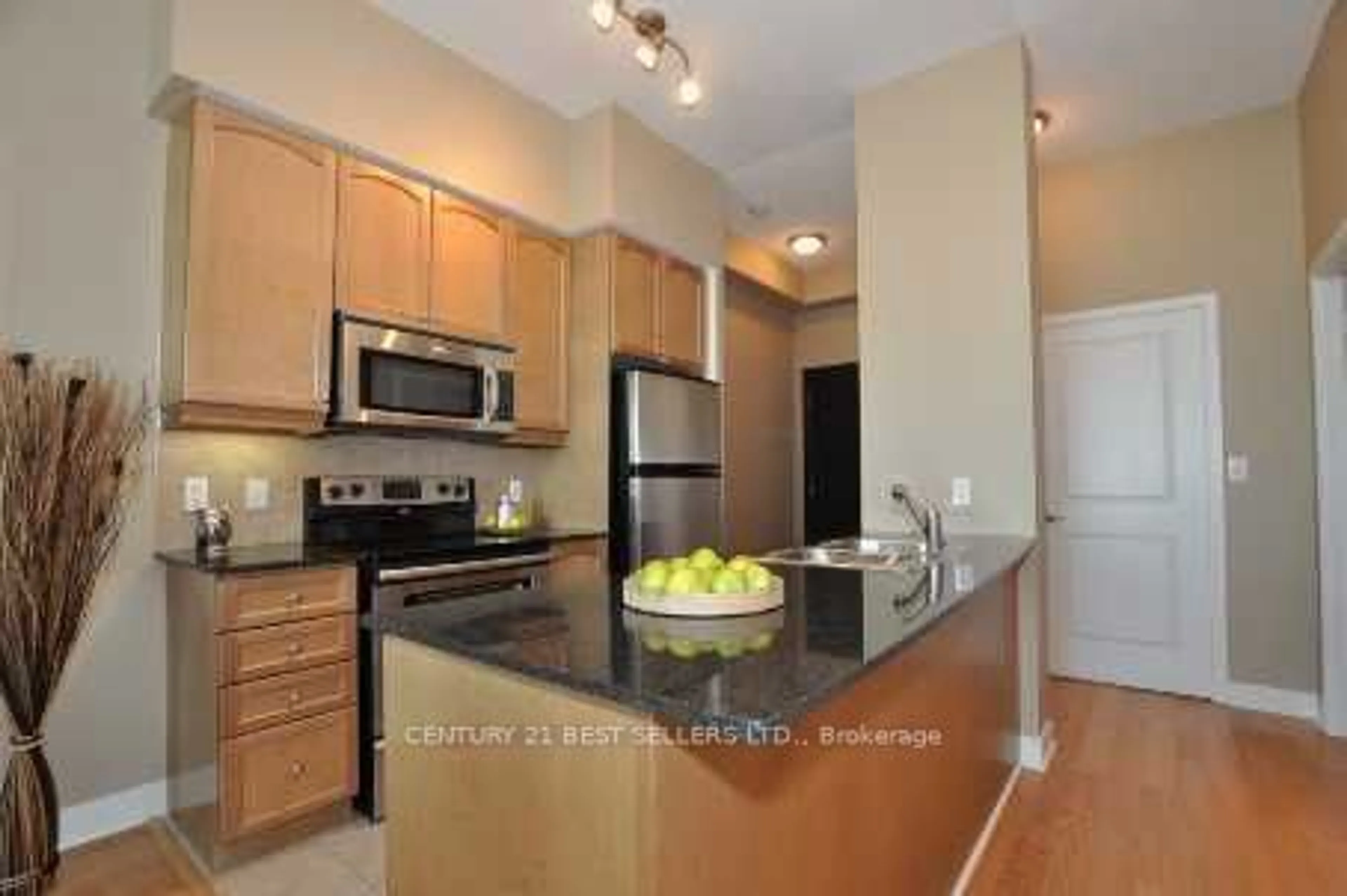 Standard kitchen, unknown for 80 Absolute Ave #3401, Mississauga Ontario L4Z 0A5