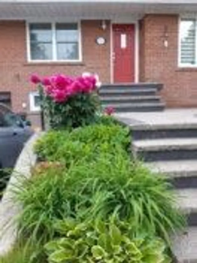 Additional property image - 37 Meadowland Dr