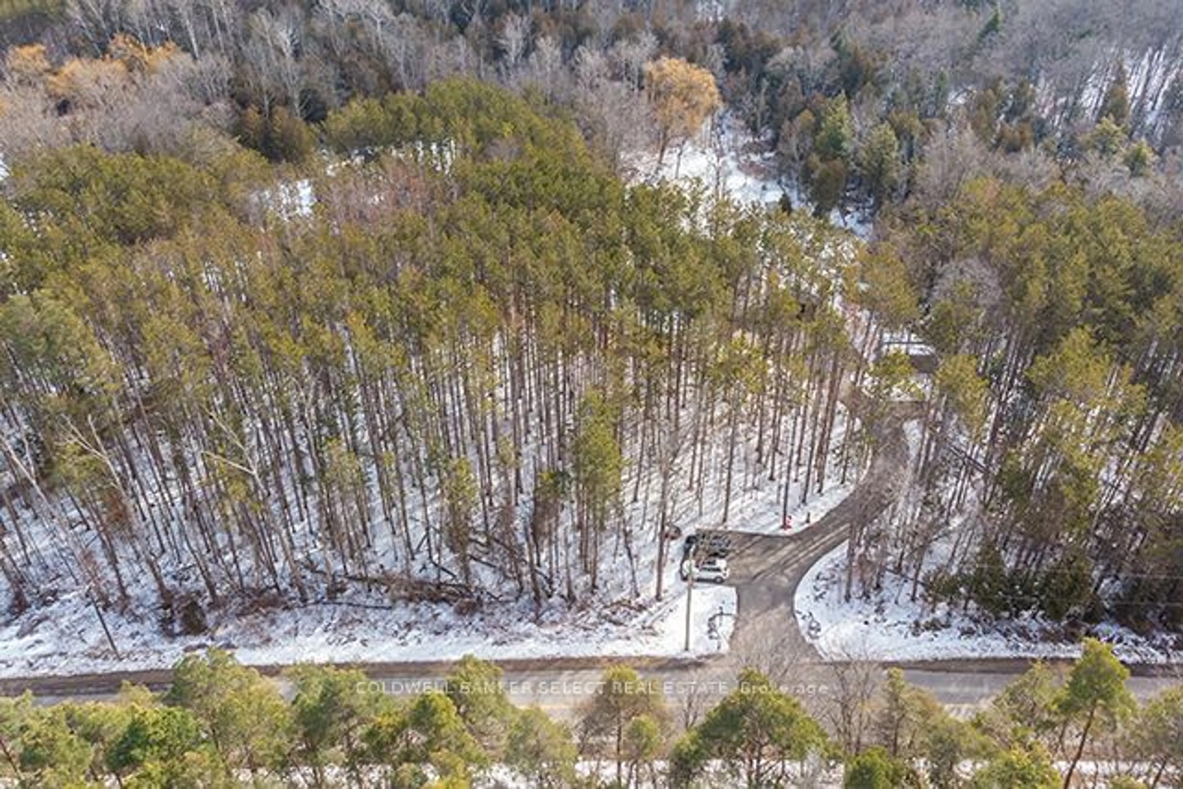 A pic from outside/outdoor area/front of a property/back of a property/a pic from drone, forest/trees view for 7599 Patterson Sdrd, Caledon Ontario L7E 0J3