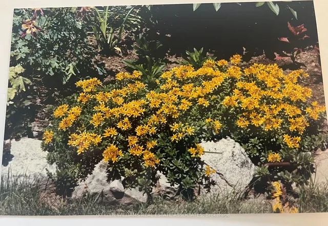 Property image for 28 Camberley Cres