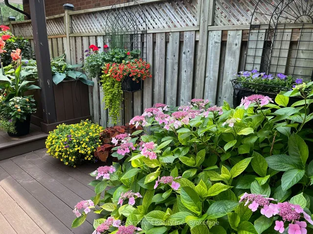 Additional property image - 1396 Golden Meadow Tr