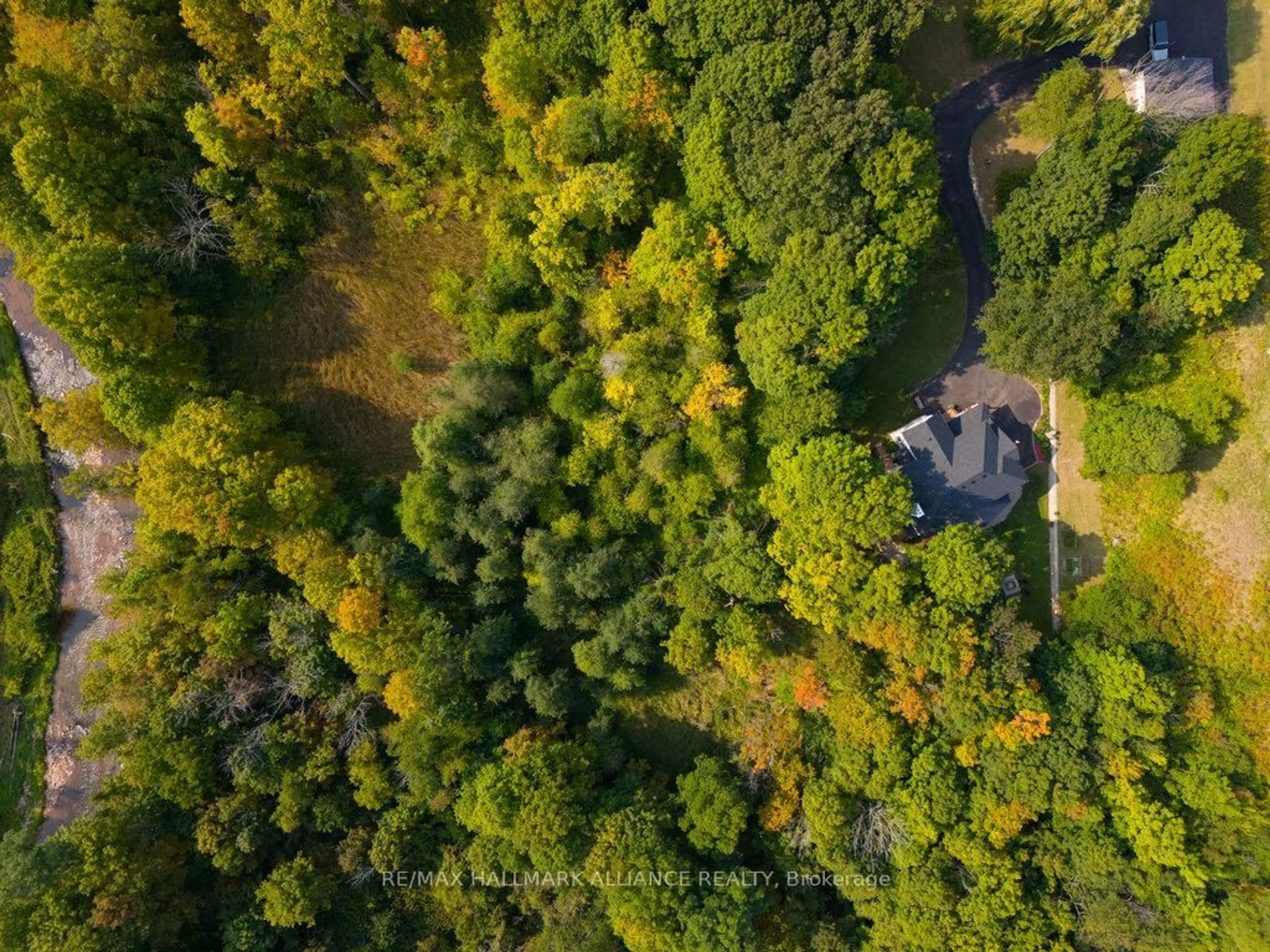 A pic from outside/outdoor area/front of a property/back of a property/a pic from drone, forest/trees view for 1200 Bronte Rd, Oakville Ontario L6M 4G4